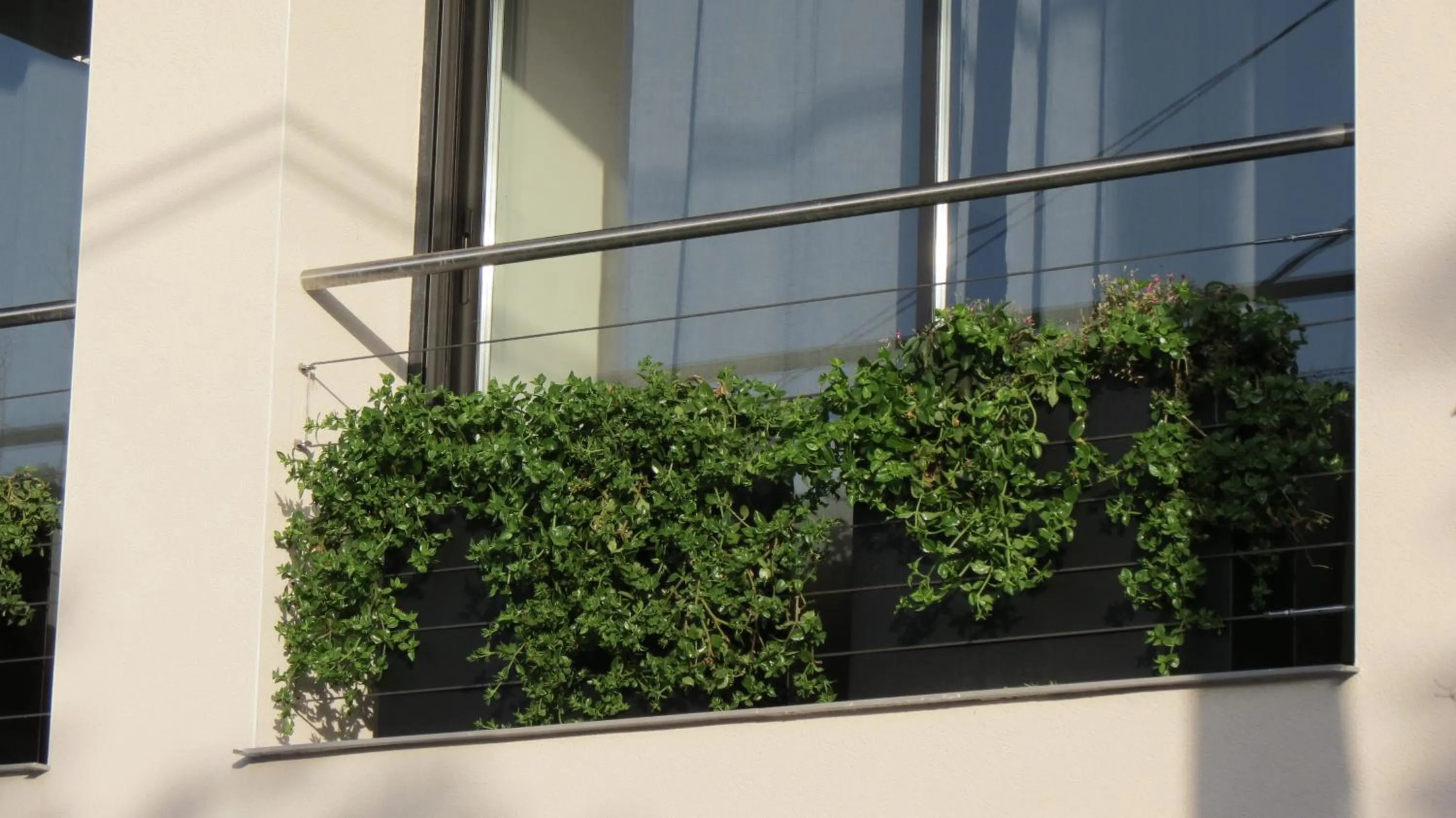 Balcony/Terrace in Le Castellas du Pic St Loup