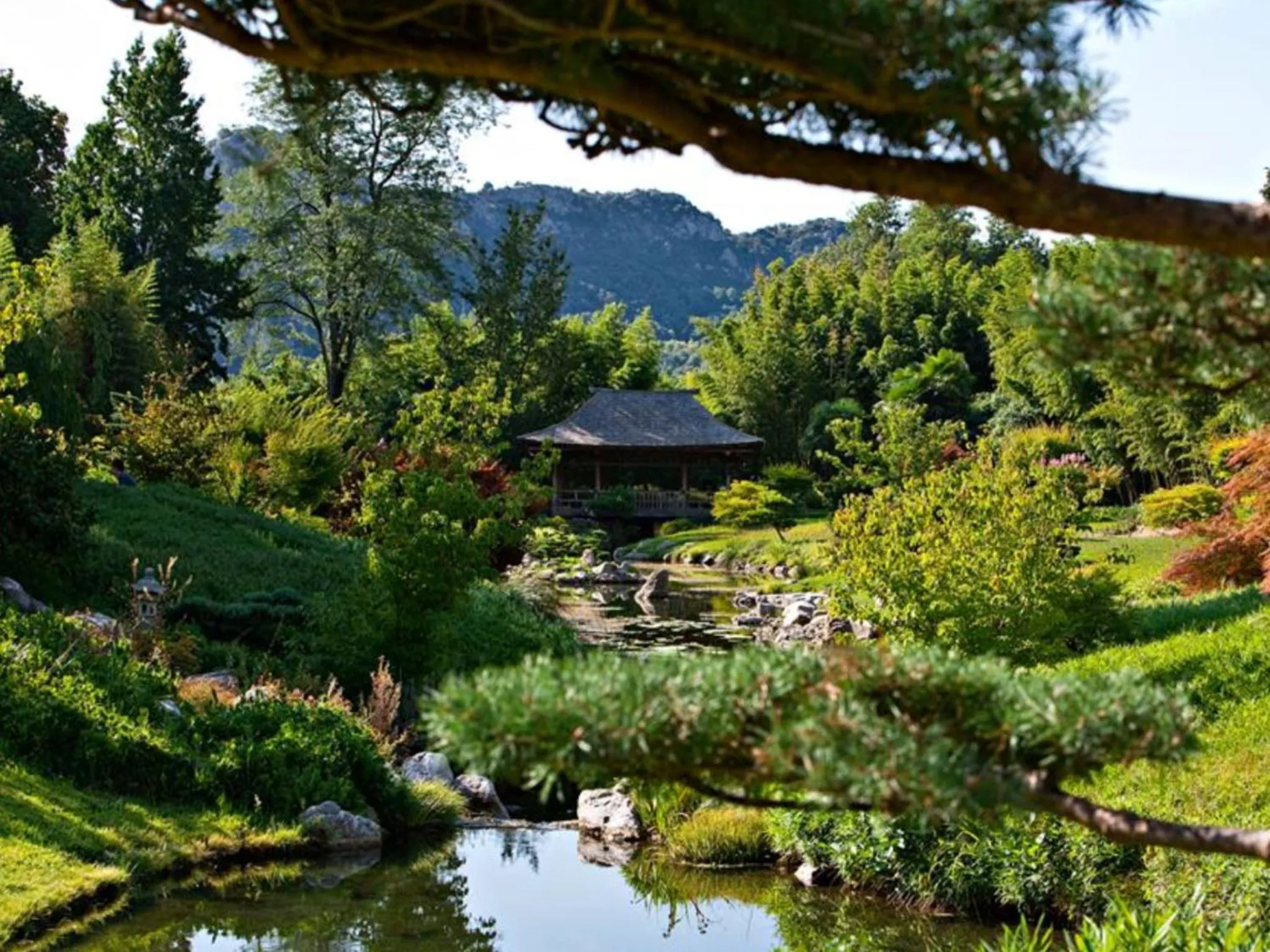 Le Castellas du Pic St Loup