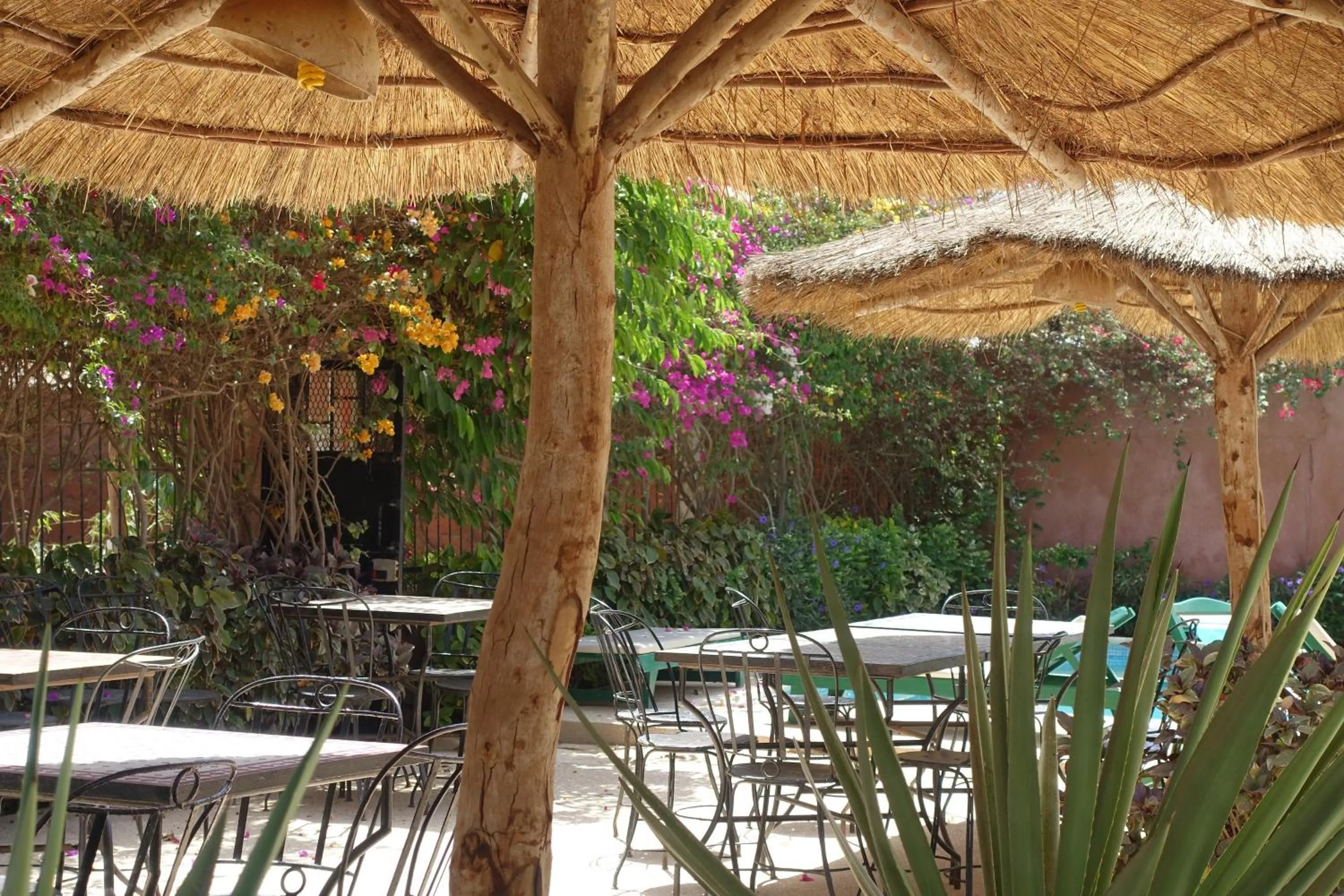 Garden in Keur Marrakis