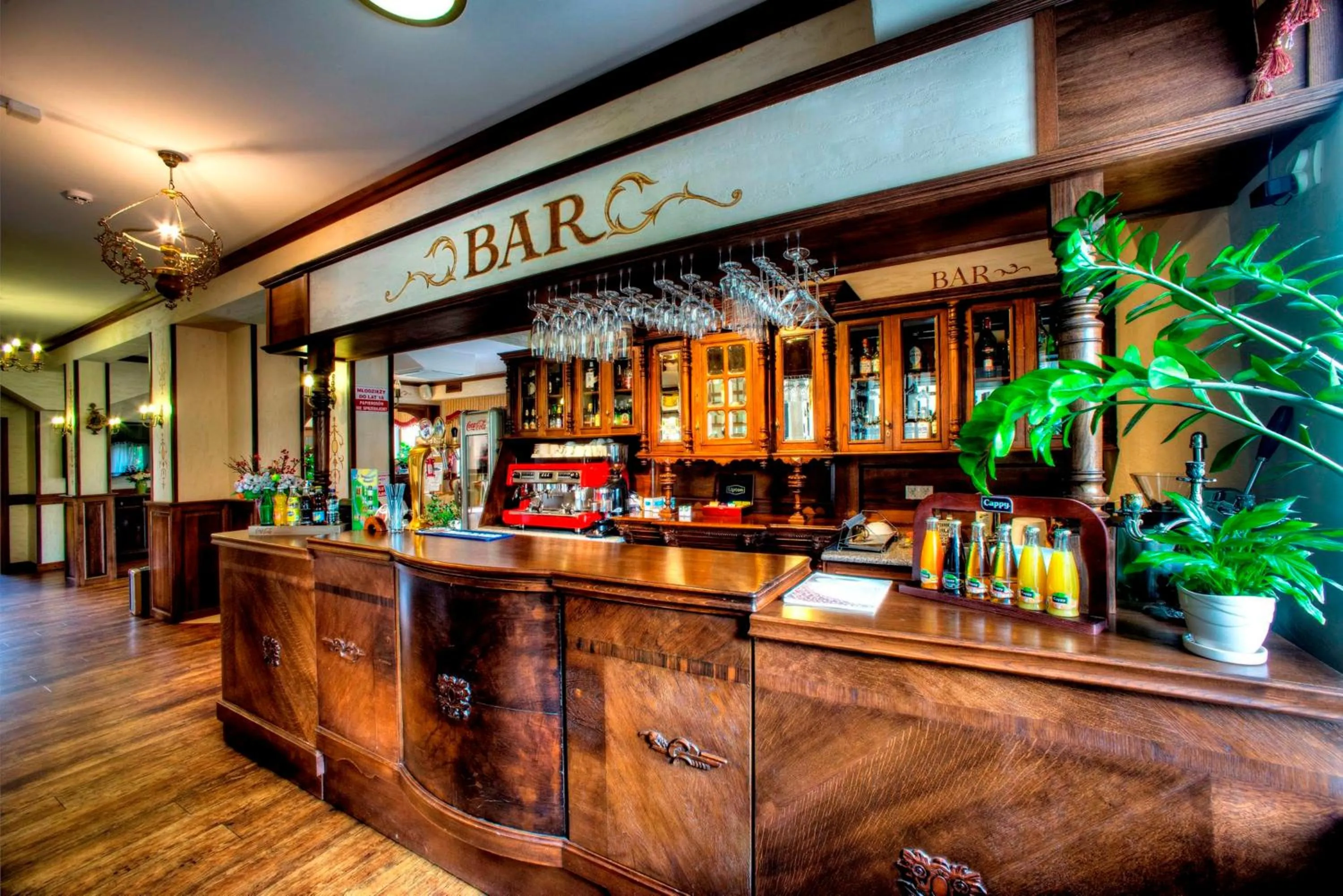 Lounge or bar in Hotel Carpatia Bieszczadzki Gościniec