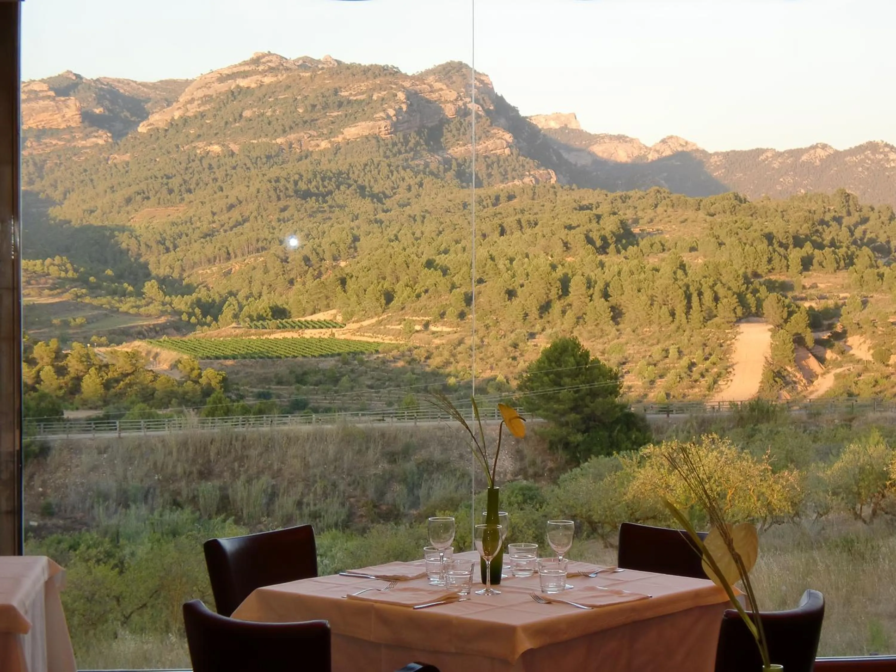 Restaurant/places to eat in Hotel & Spa Can Josep