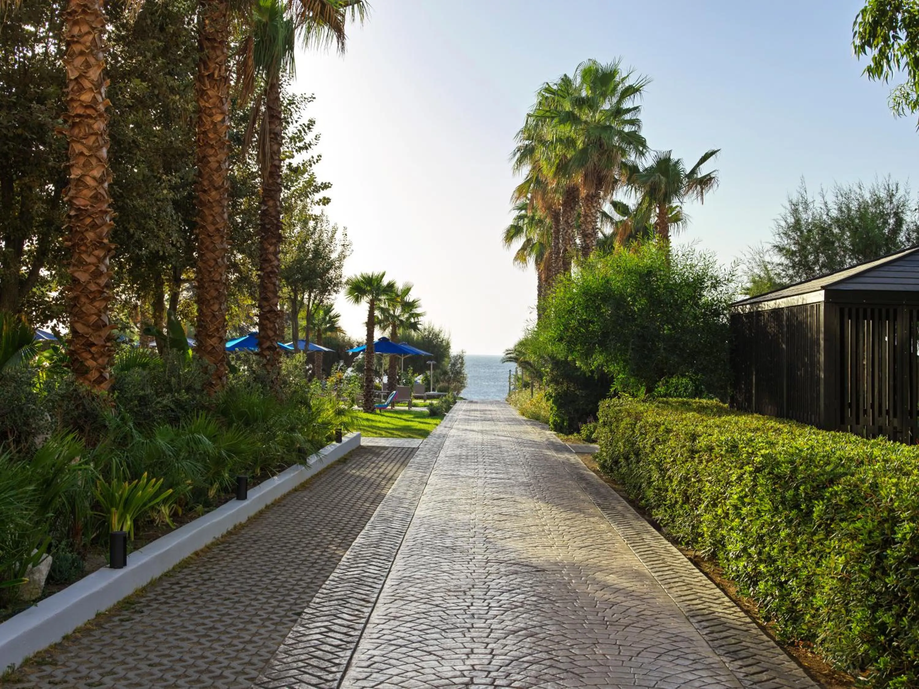 Natural landscape in Esperides Beach Resort