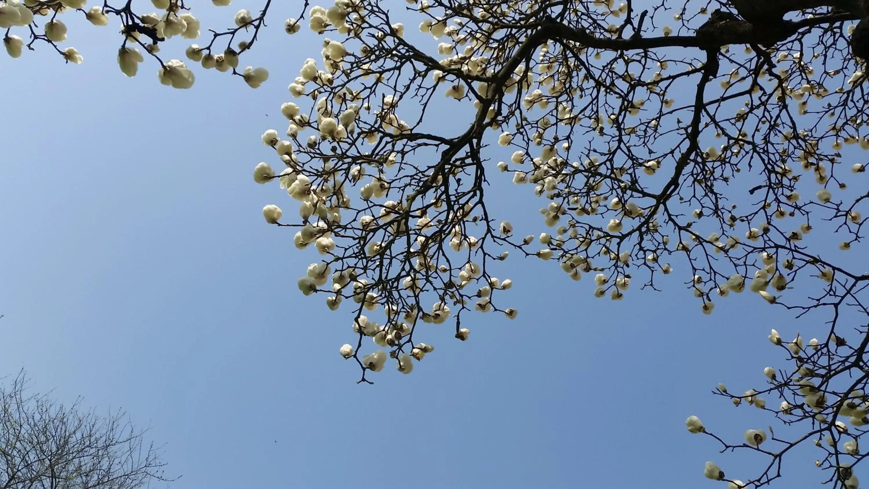 B&B La Cascina Grossa