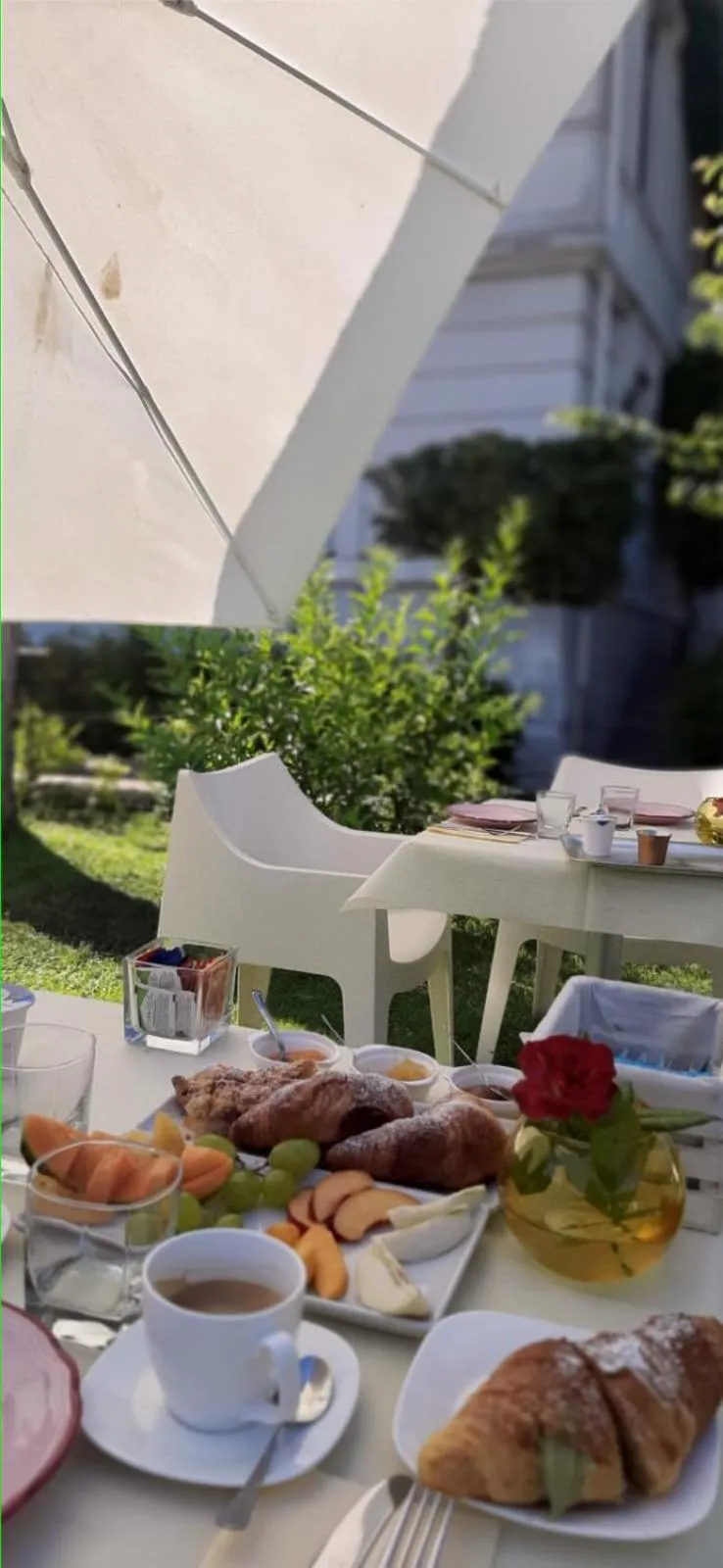 Garden in Villa Giordanelli