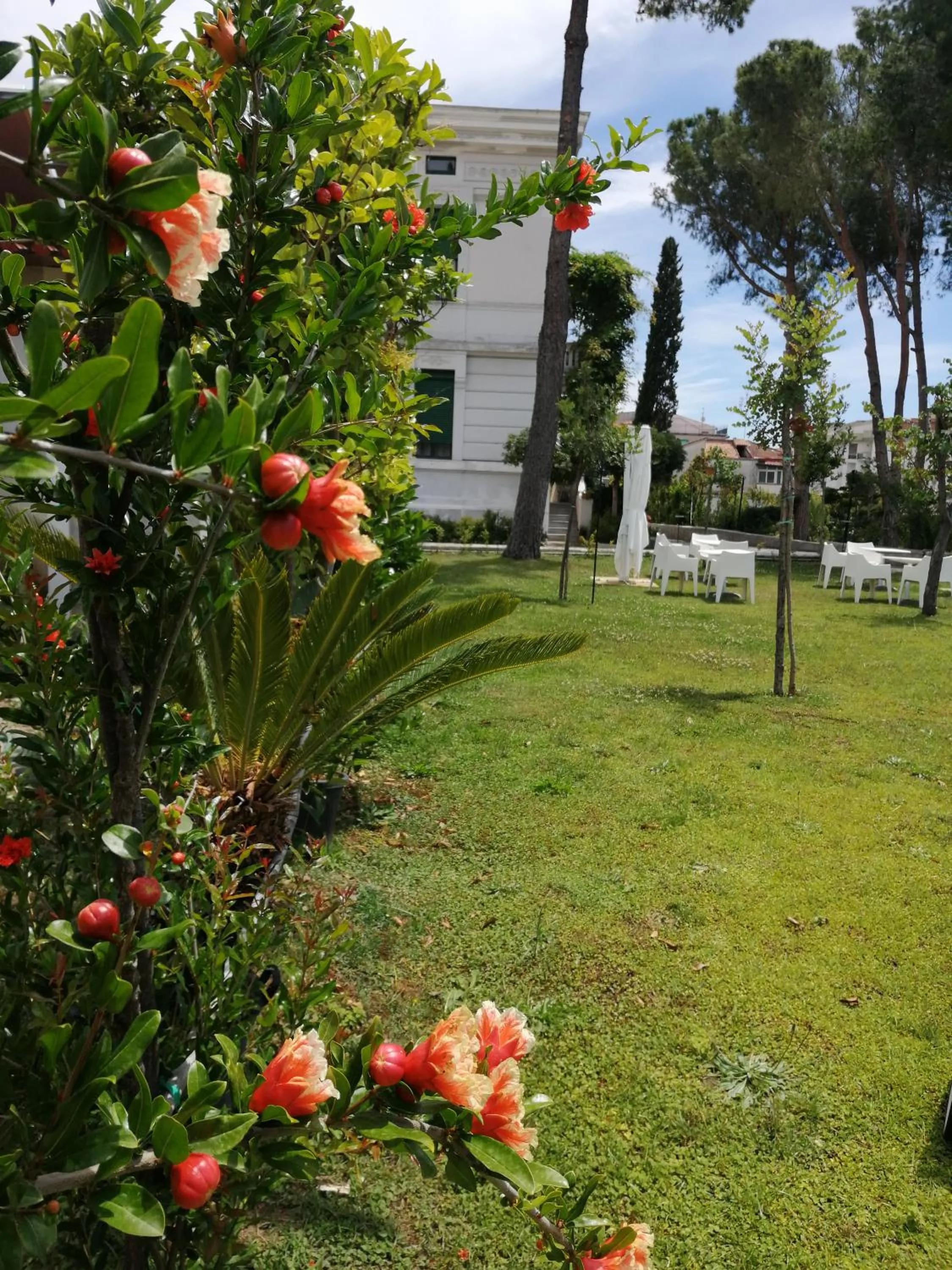 Garden in Villa Giordanelli