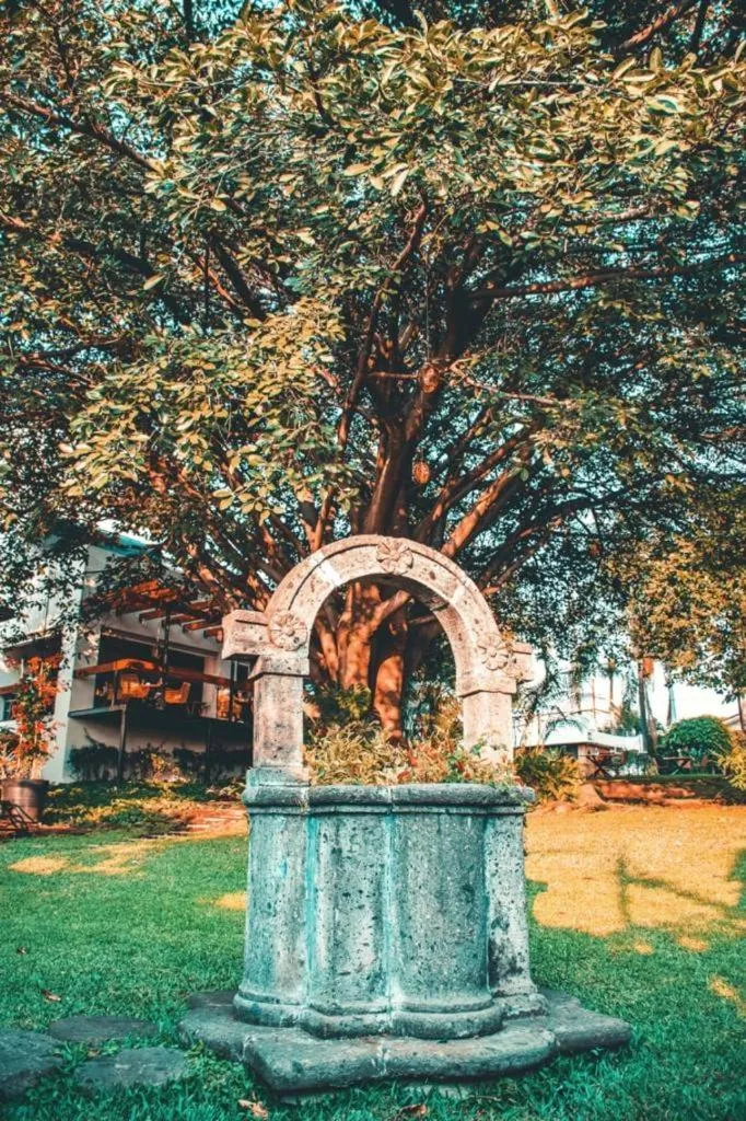 Garden in La Provence Restaurant & Hotel Boutique