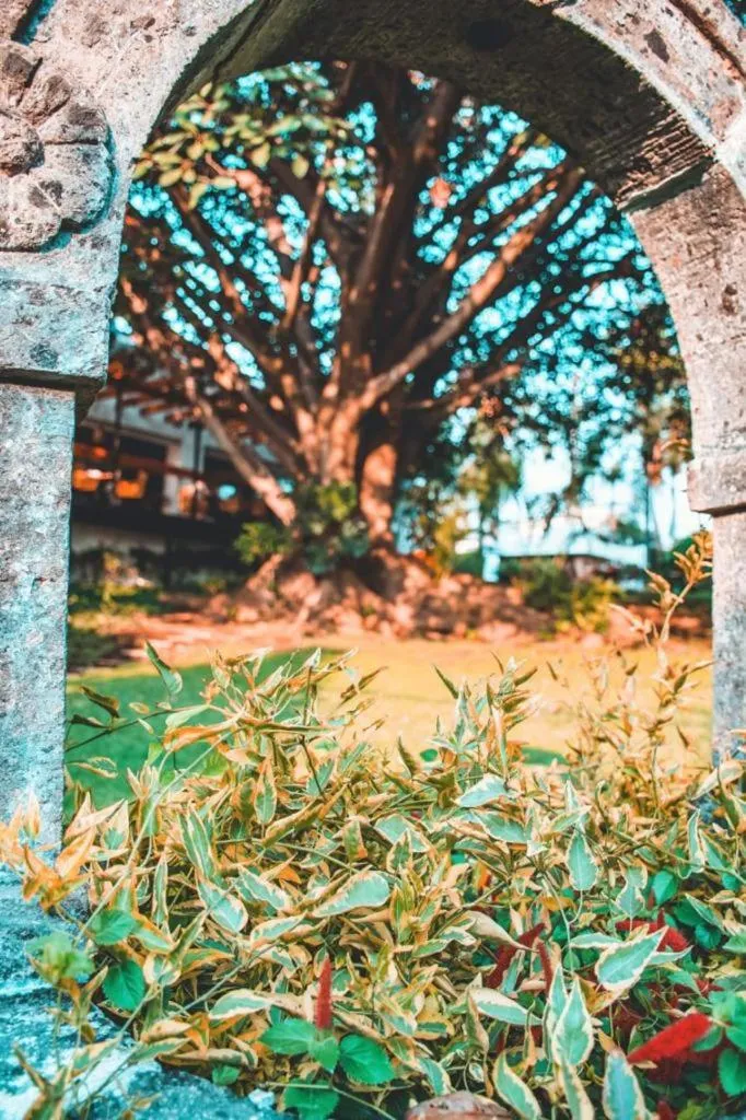 Garden in La Provence Restaurant & Hotel Boutique