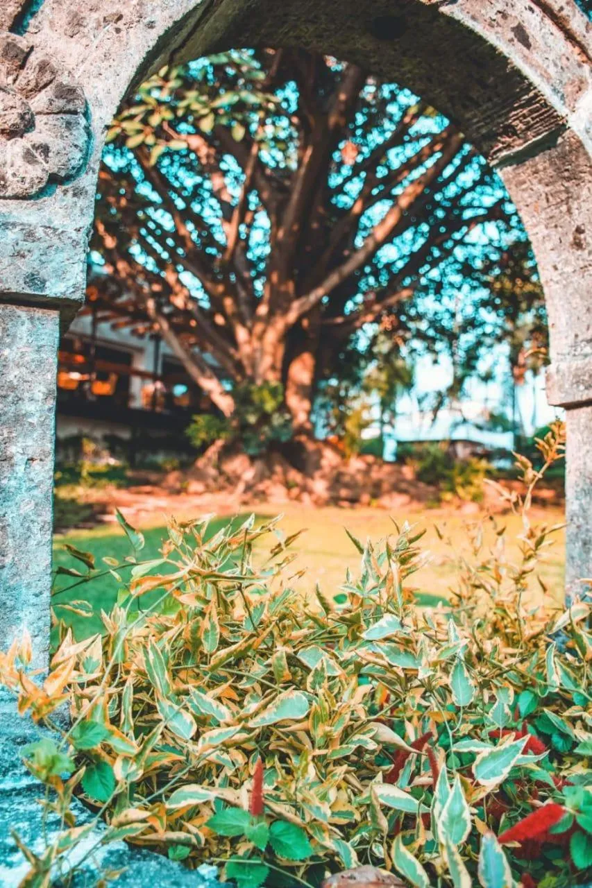 Garden in La Provence Restaurant & Hotel Boutique