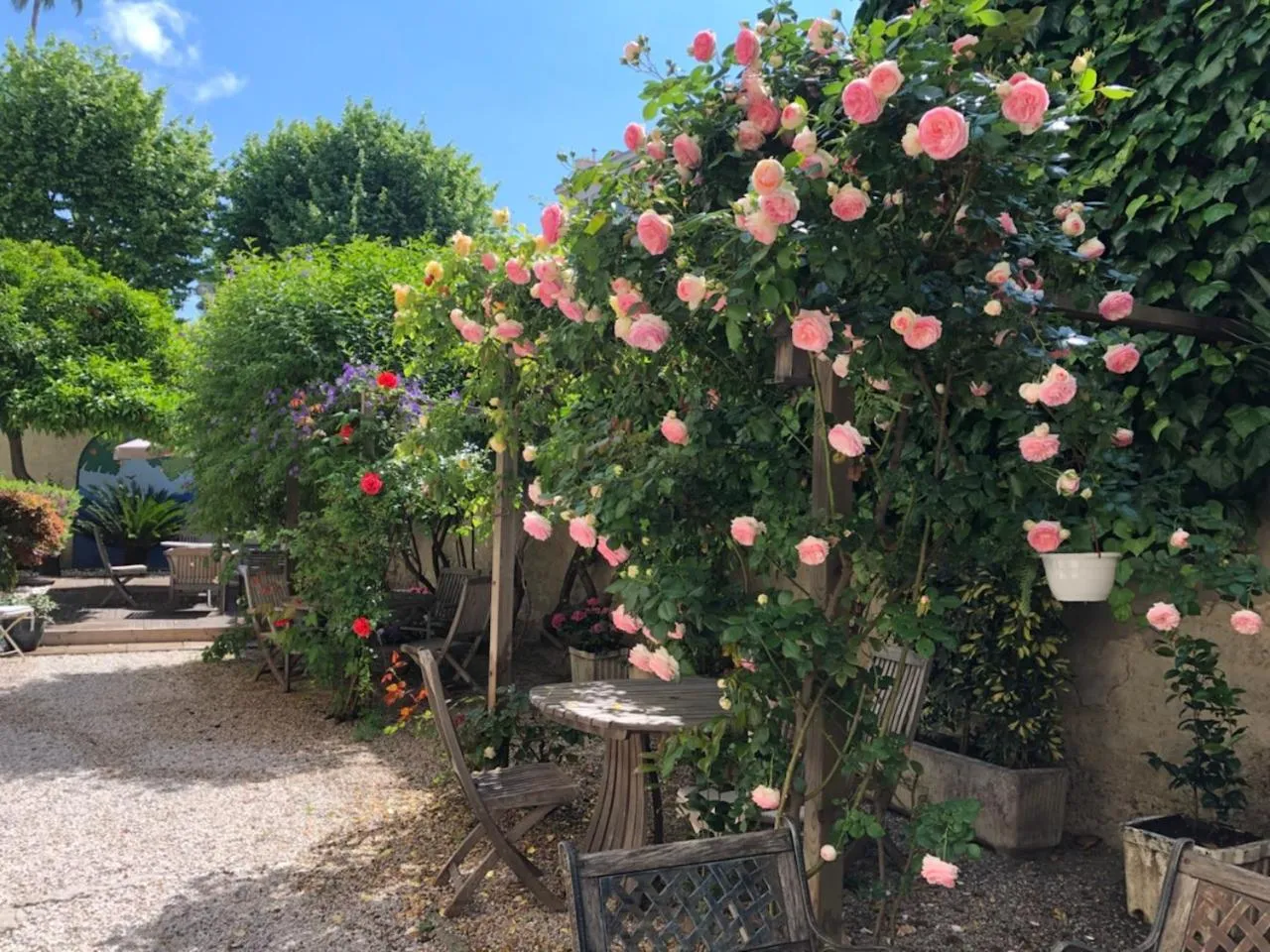 Garden in Nice Garden Hotel