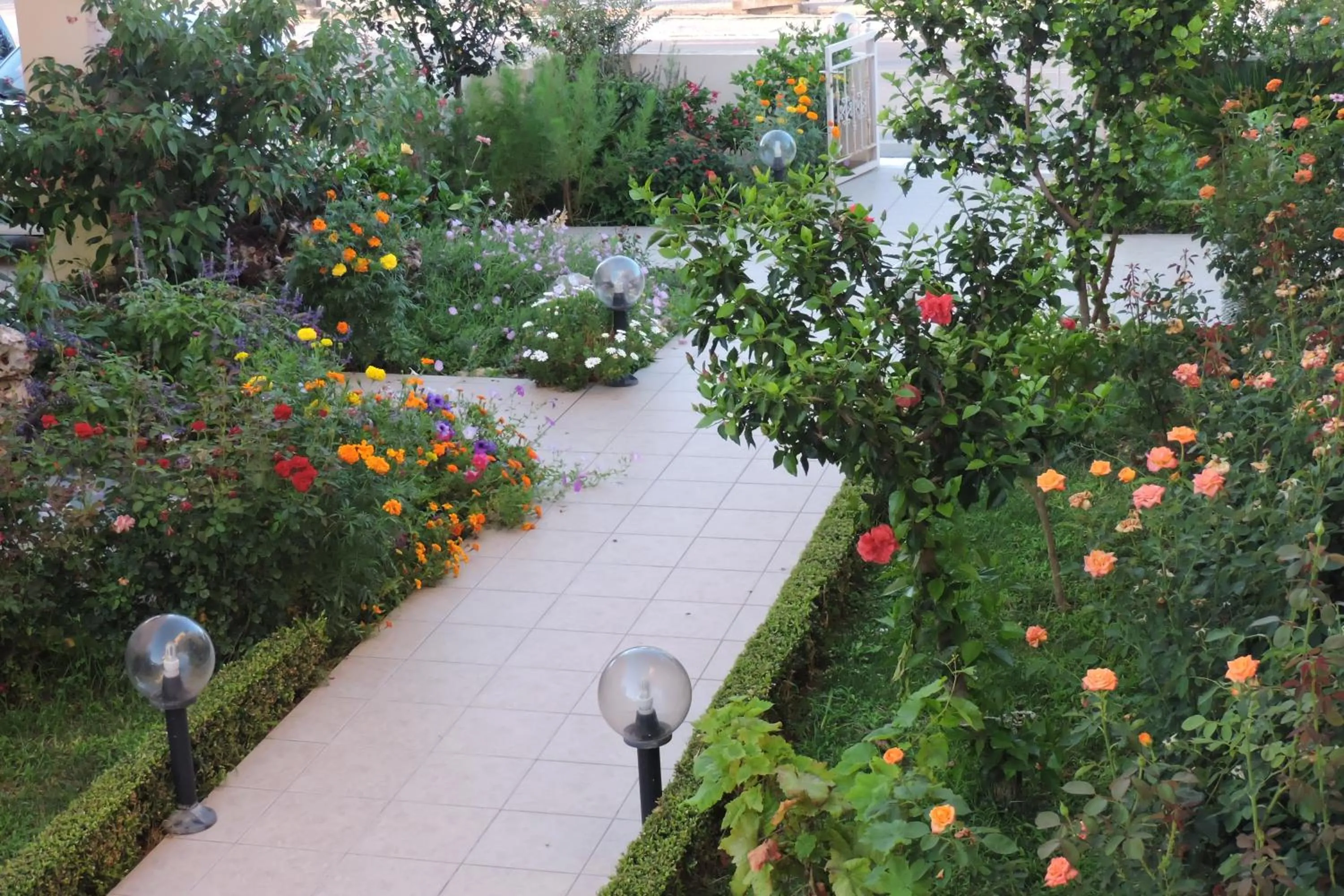Golden Rose Suites