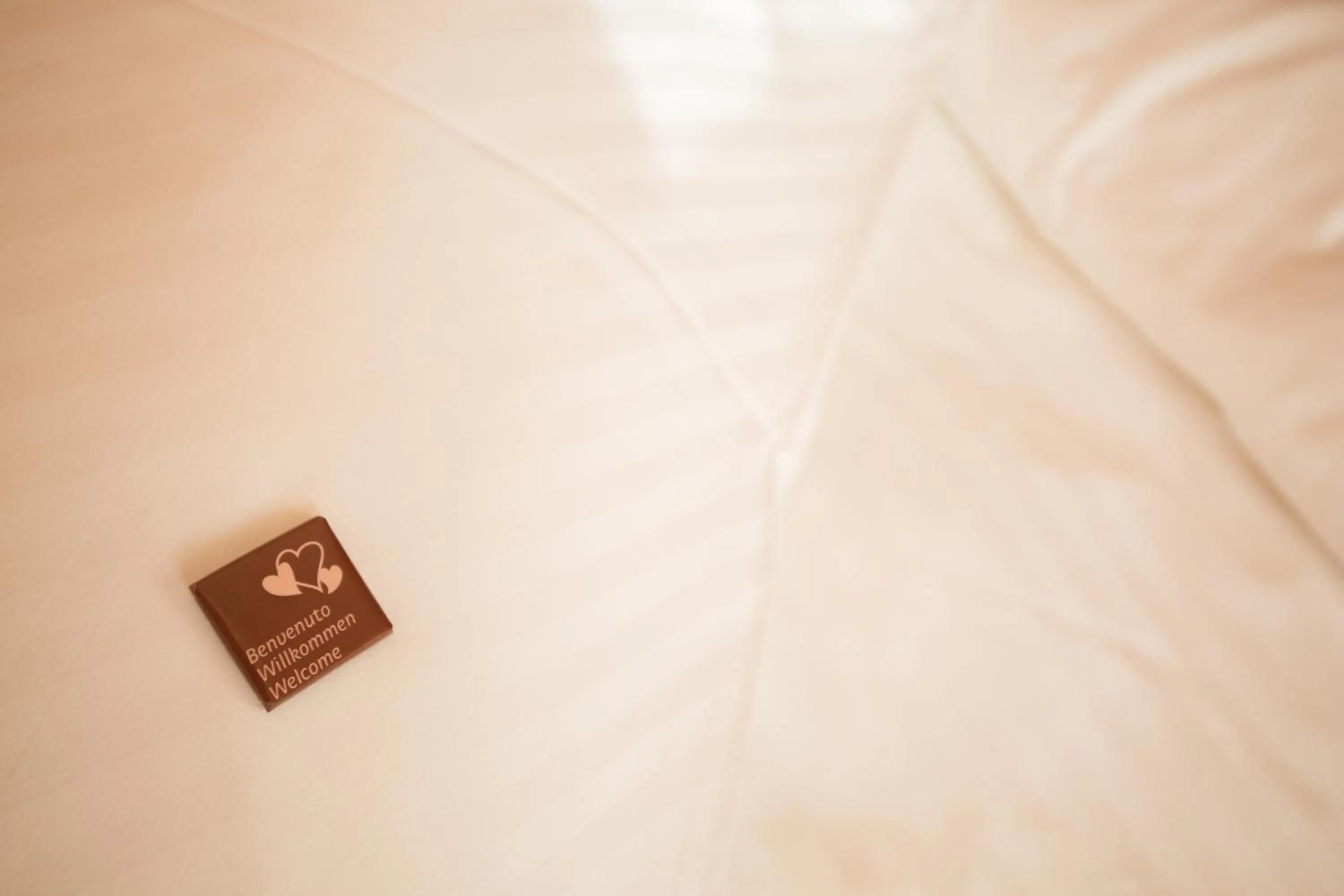 Decorative detail in Chalet Marcora