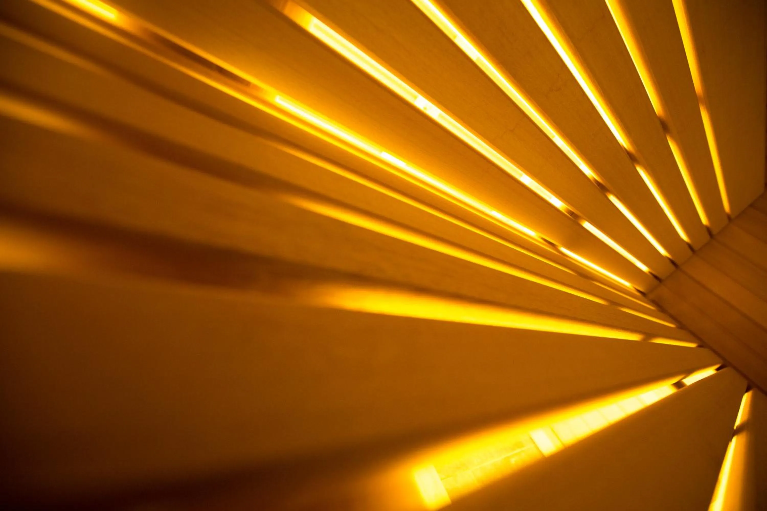 Sauna in Chalet Marcora