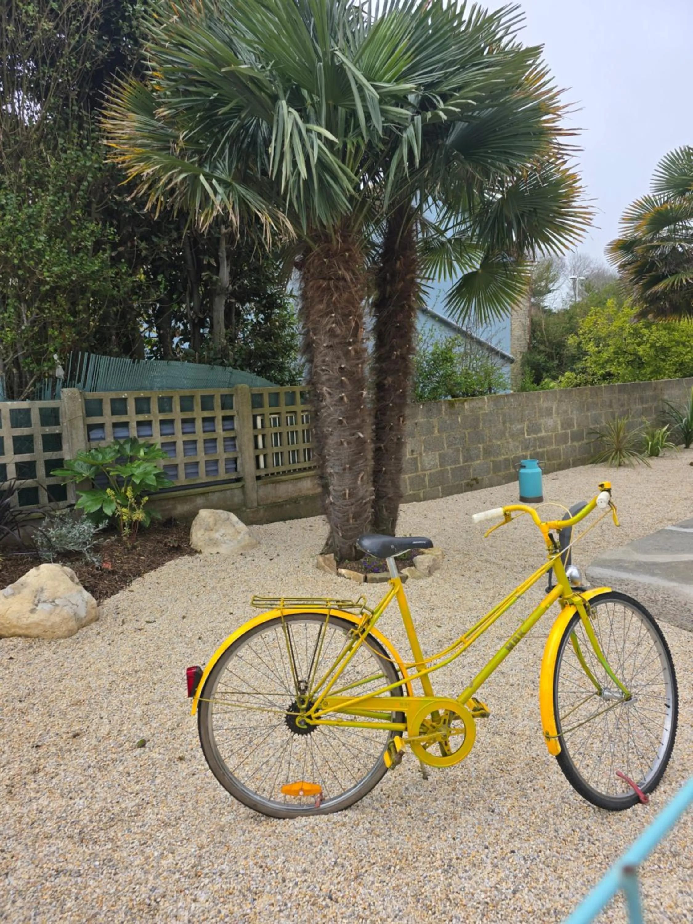 Garden in Hôtel L'ideal le Mountbatten