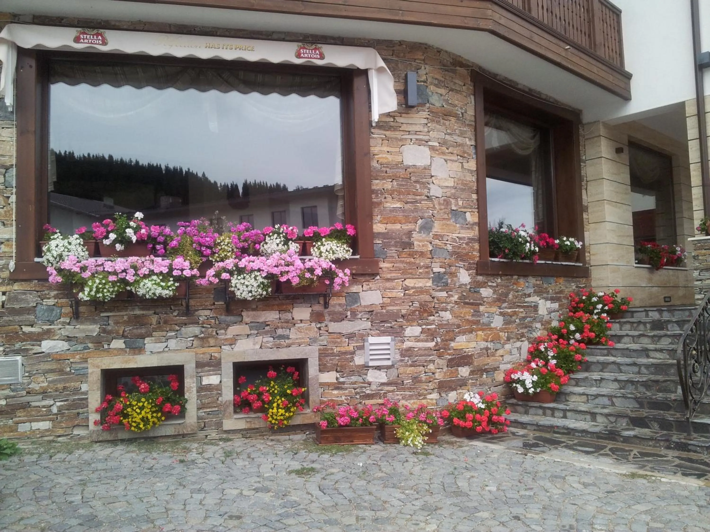 Facade/entrance in Hotel Iva & Elena