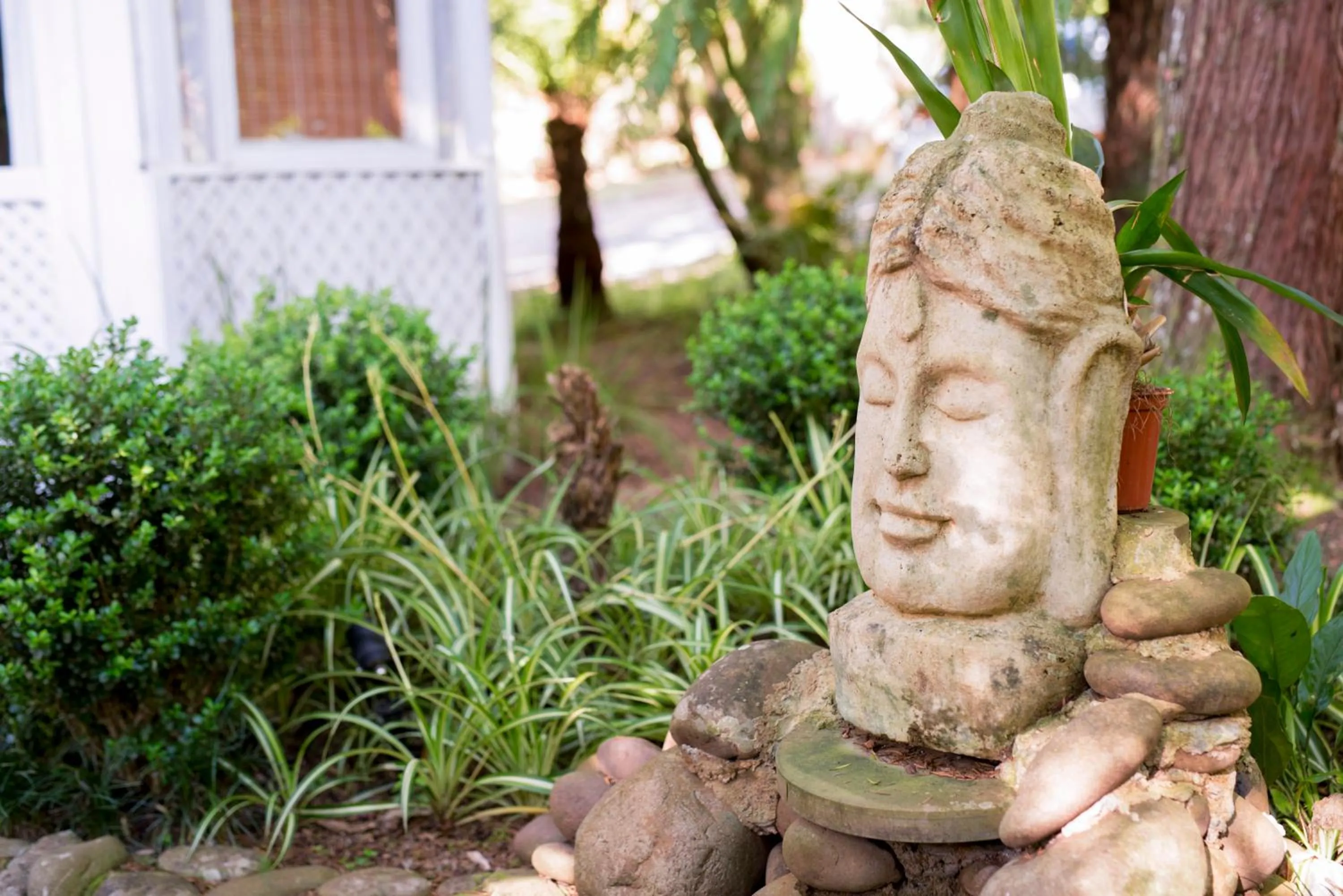 Spa and wellness centre/facilities in Pousada Don Ramon & Spa Holgar D'Alma - Charm Collection