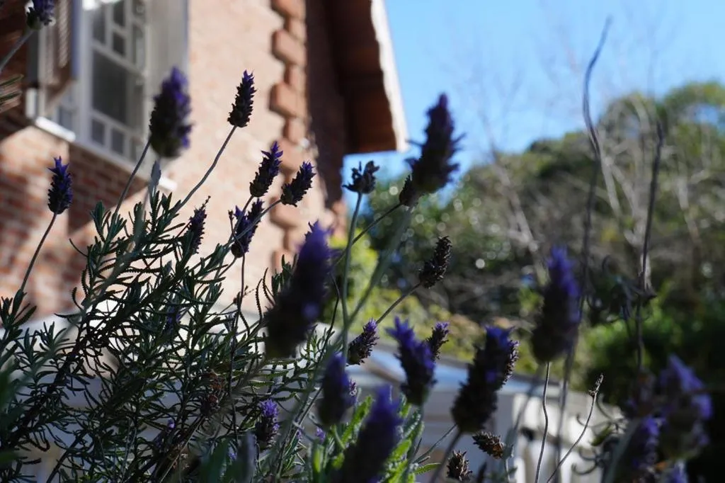 Facade/entrance in Pousada Don Ramon & Spa Holgar D'Alma - Charm Collection