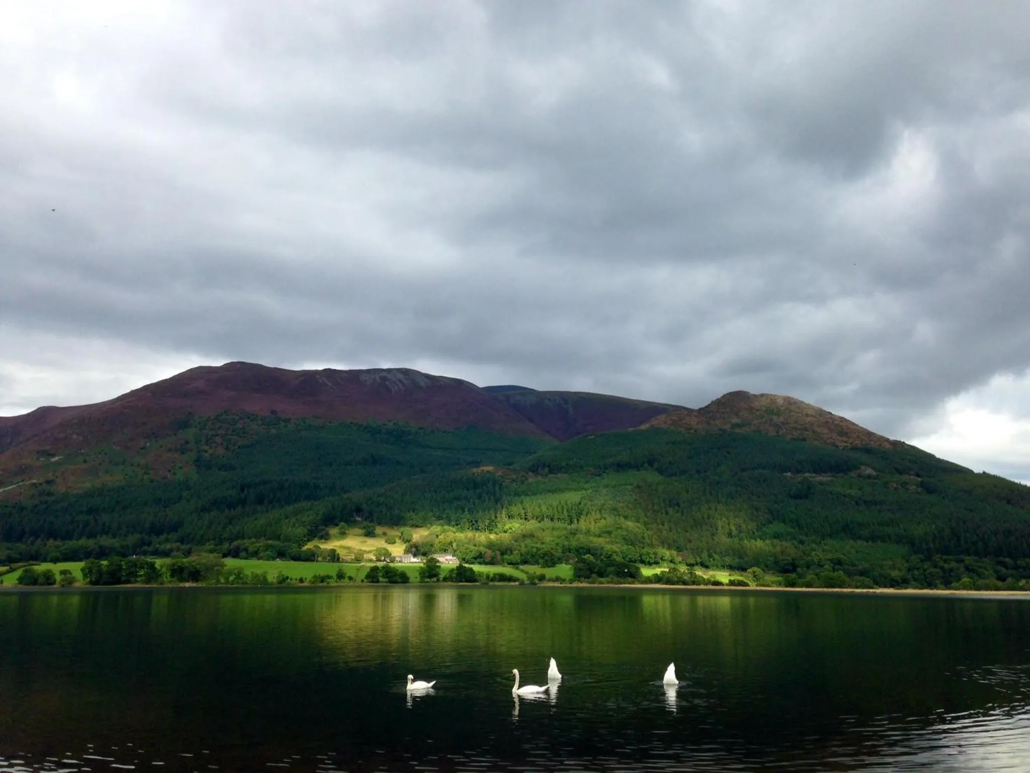 Natural landscape in Embleton Spa Hotel & Apartments