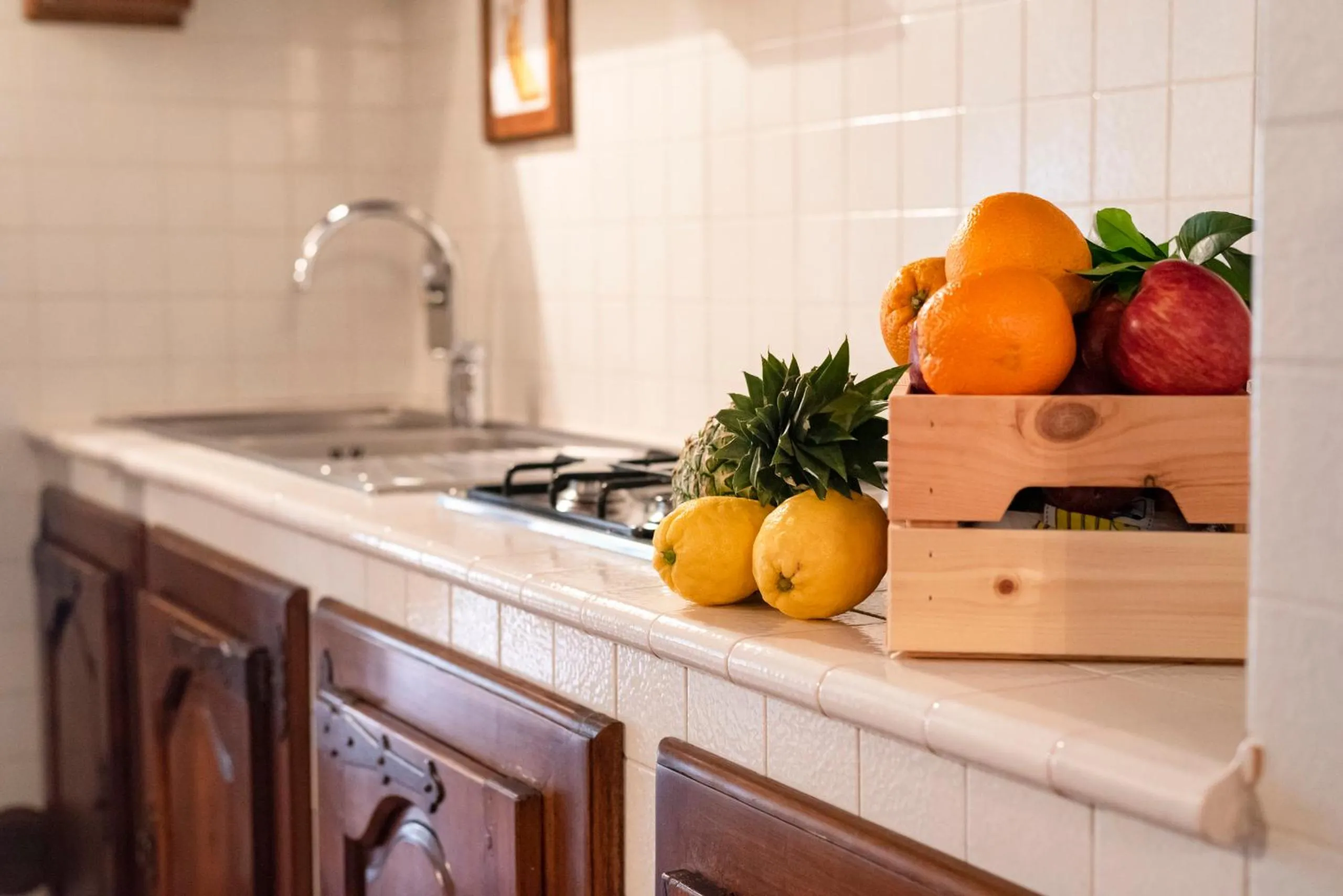 Kitchen or kitchenette in Agriturismo La Rombaia
