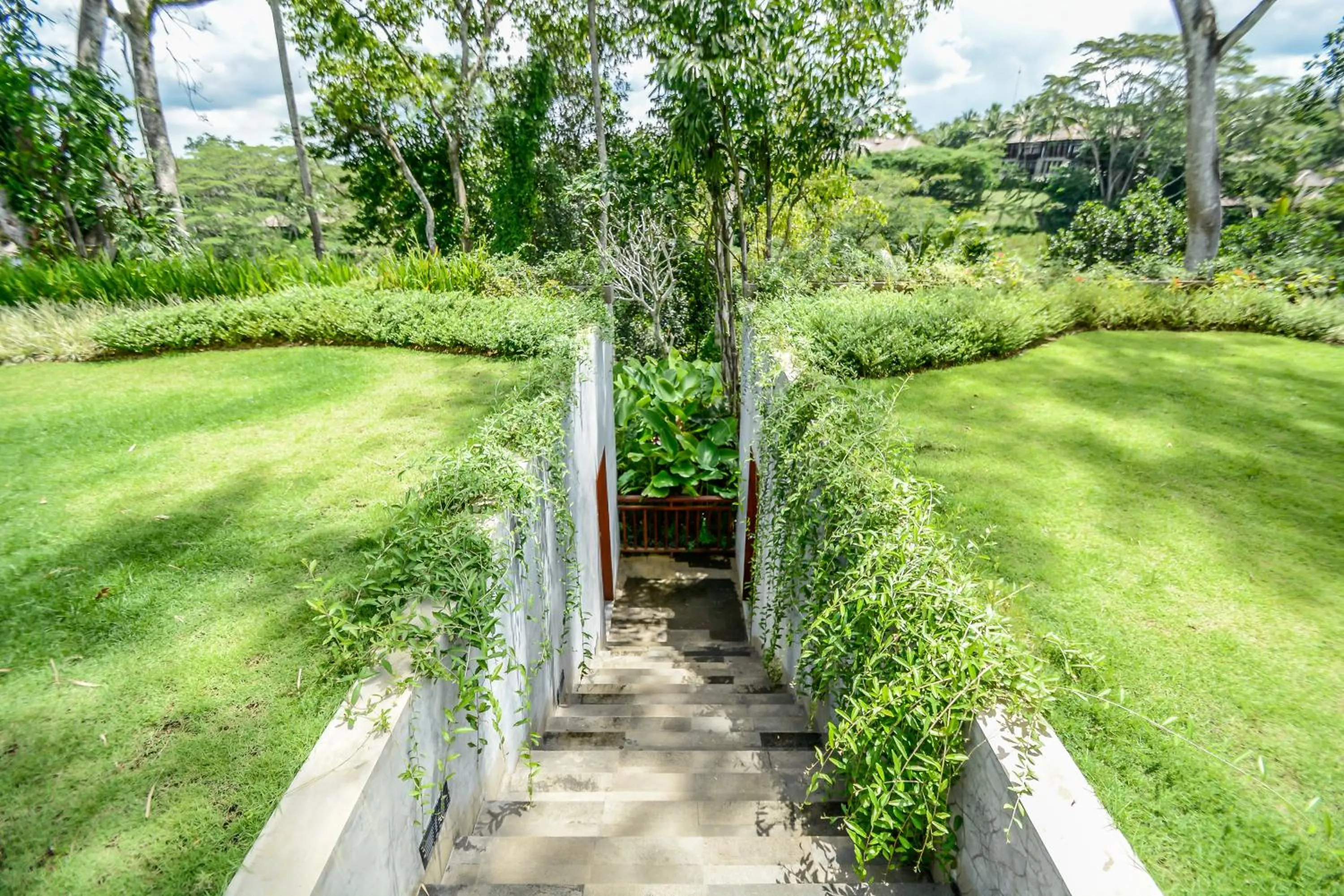 Natural landscape in The Hidden Paradise Ubud - CHSE Certified