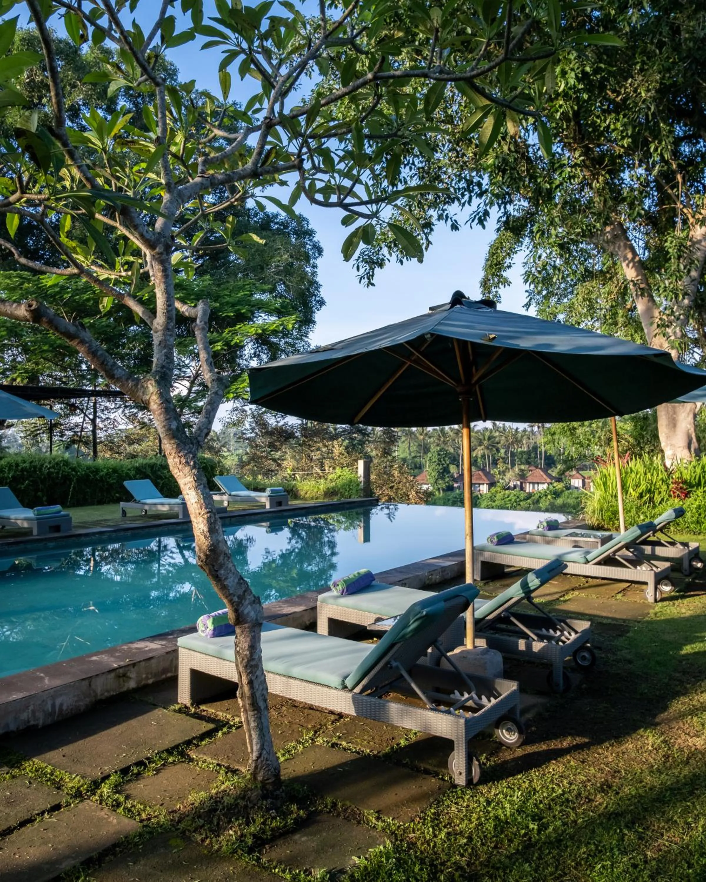 Swimming pool in The Hidden Paradise Ubud - CHSE Certified