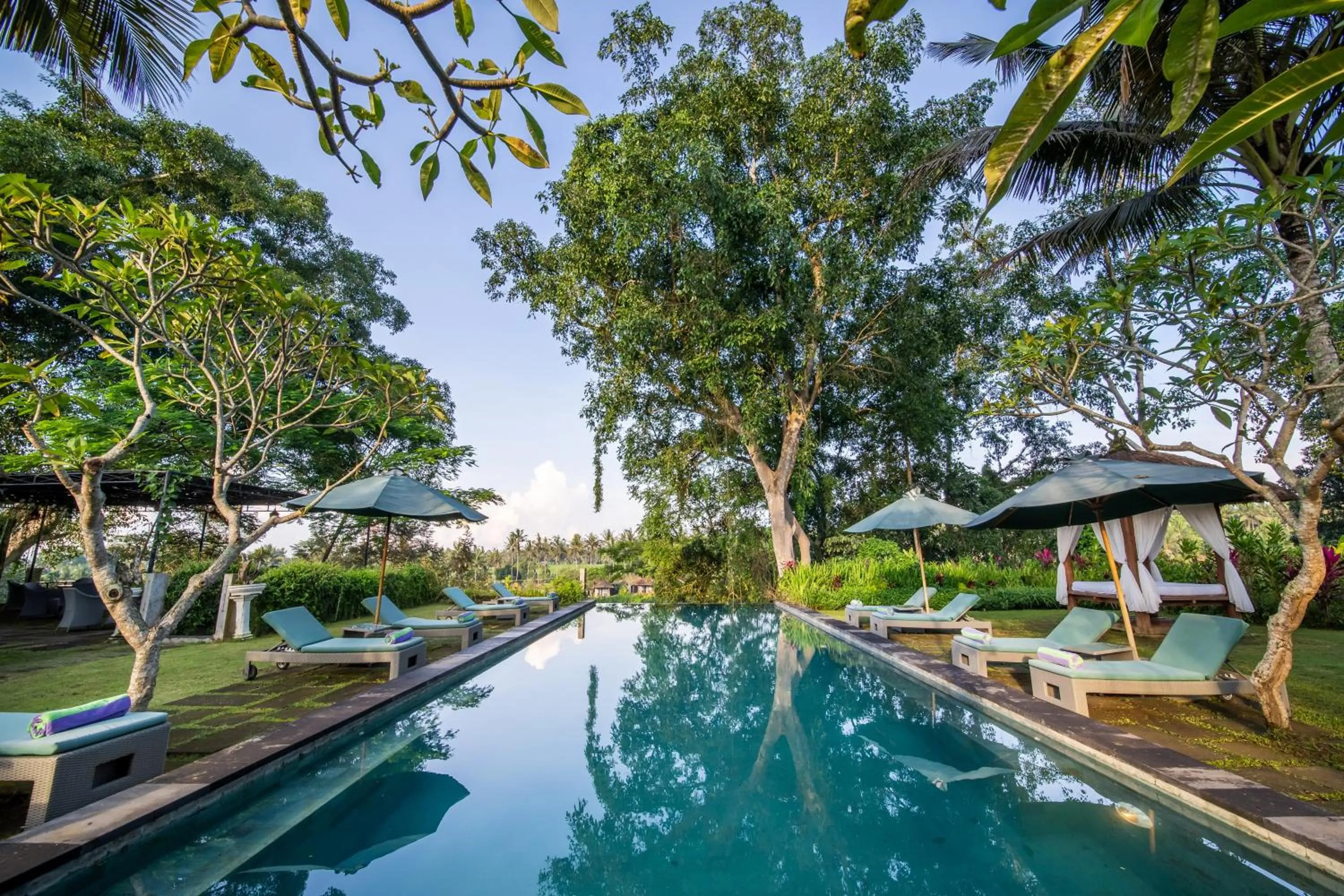 Swimming pool in The Hidden Paradise Ubud - CHSE Certified