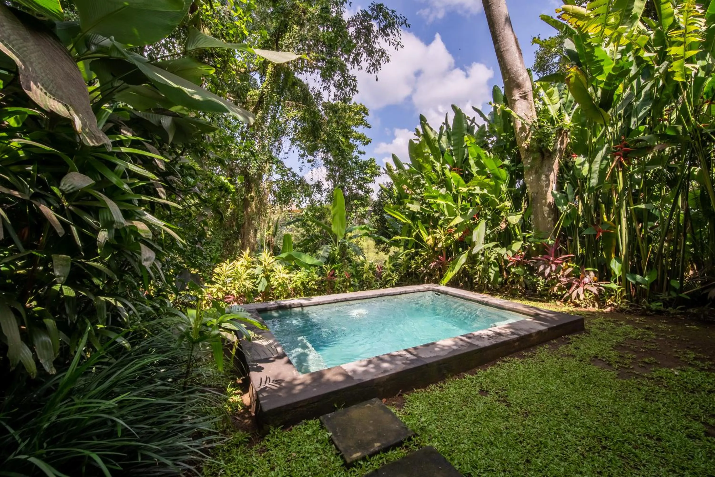 Spring in The Hidden Paradise Ubud - CHSE Certified