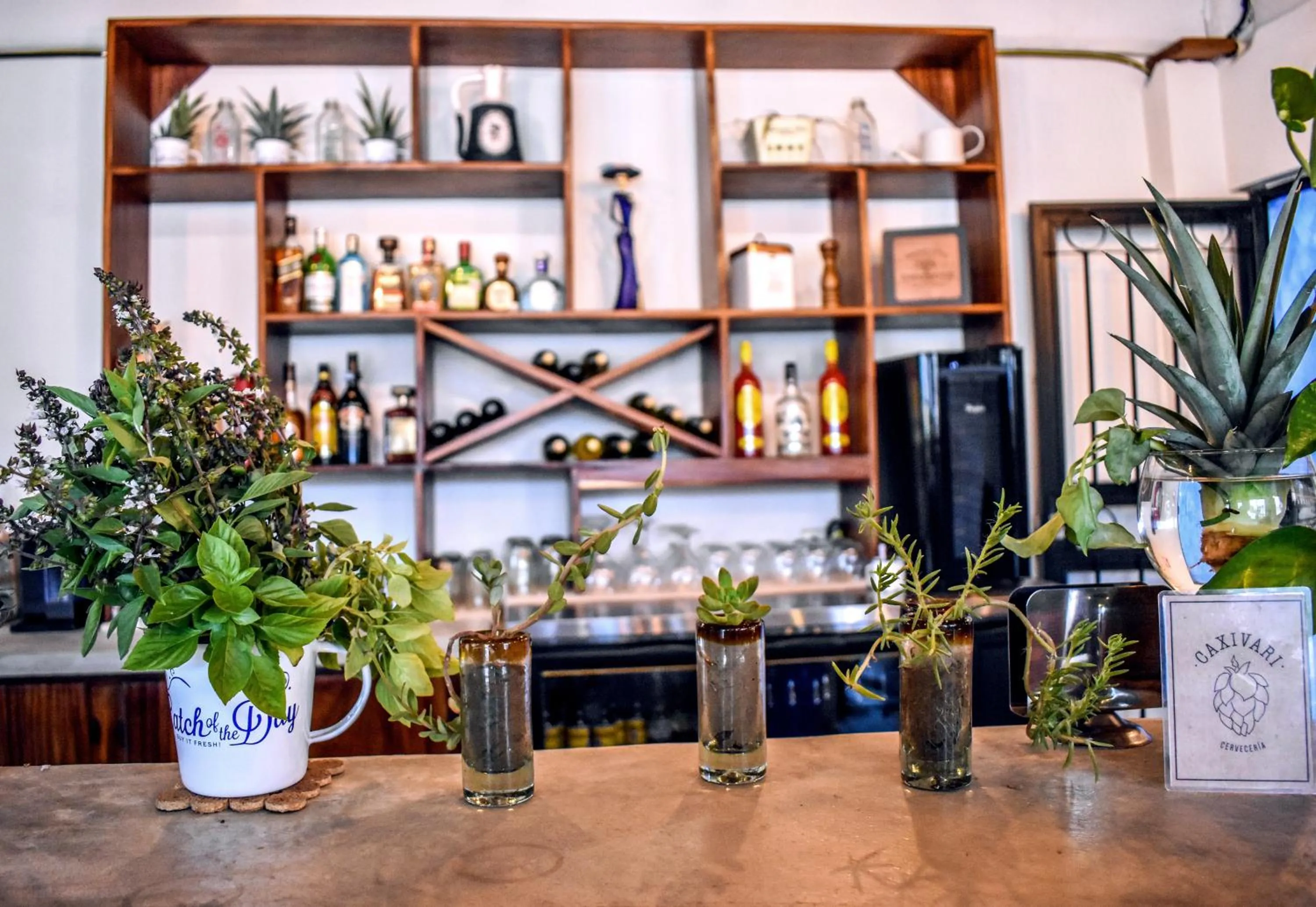 Food and drinks in Cabañas del Capitan