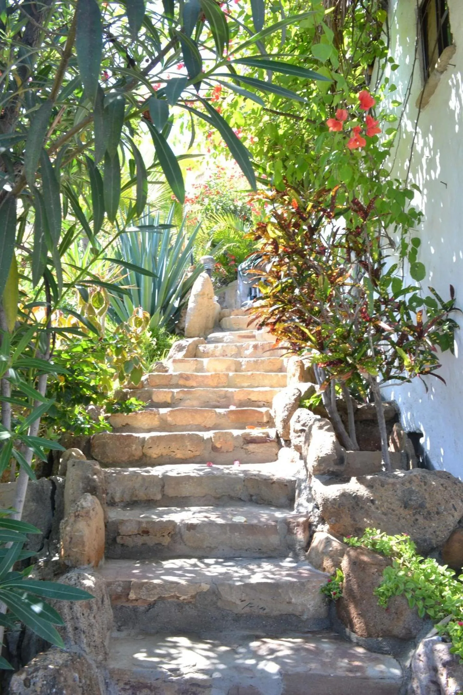 Day in Hotel Smiling Crab