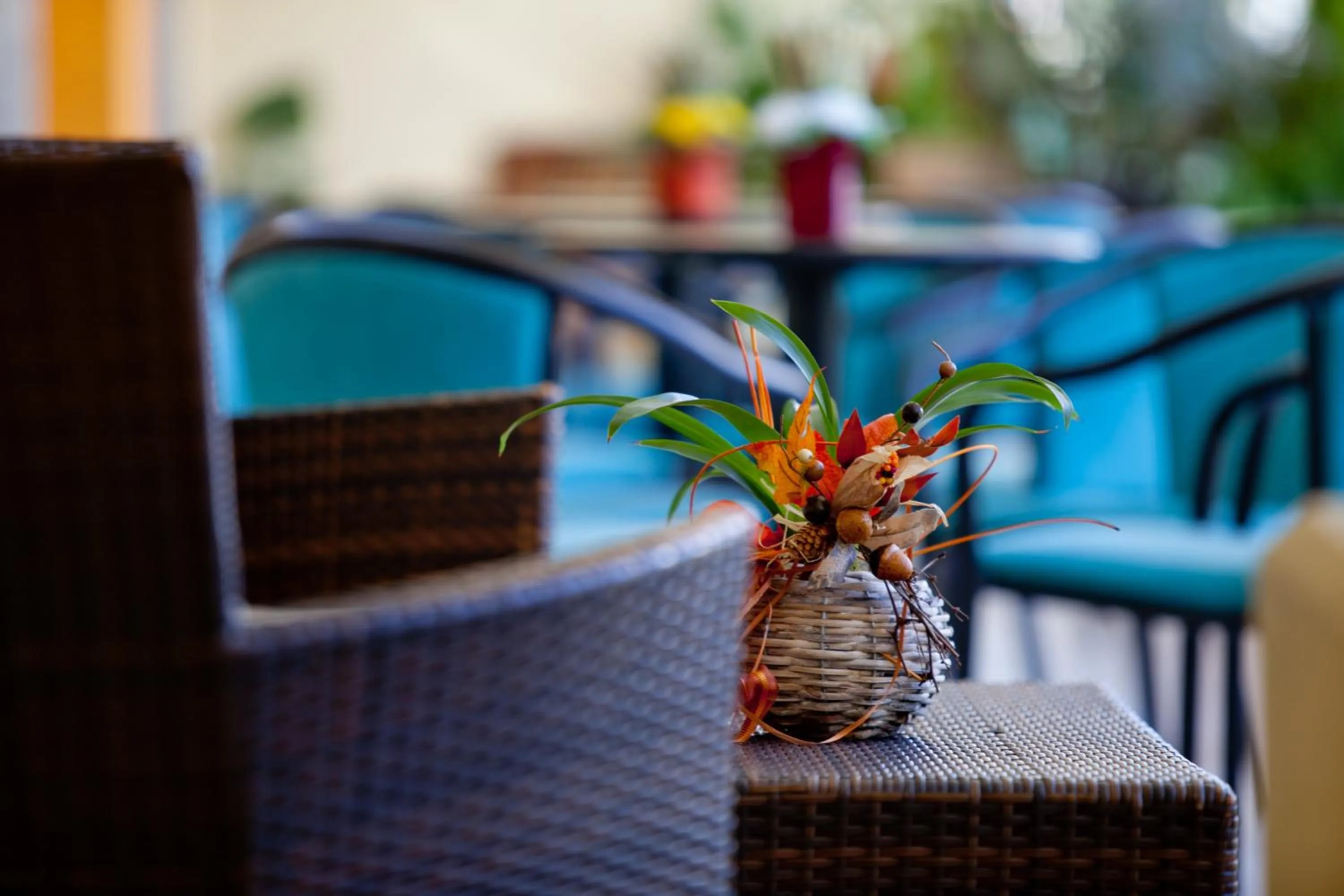 Balcony/Terrace in Hotel Canguro