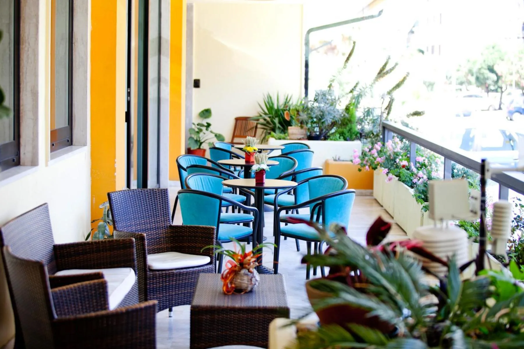 Balcony/Terrace in Hotel Canguro