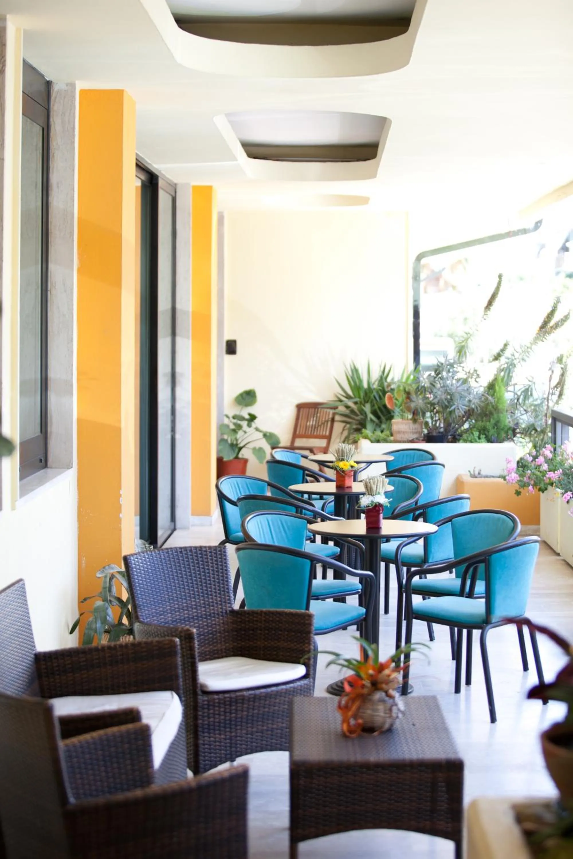 Balcony/Terrace in Hotel Canguro