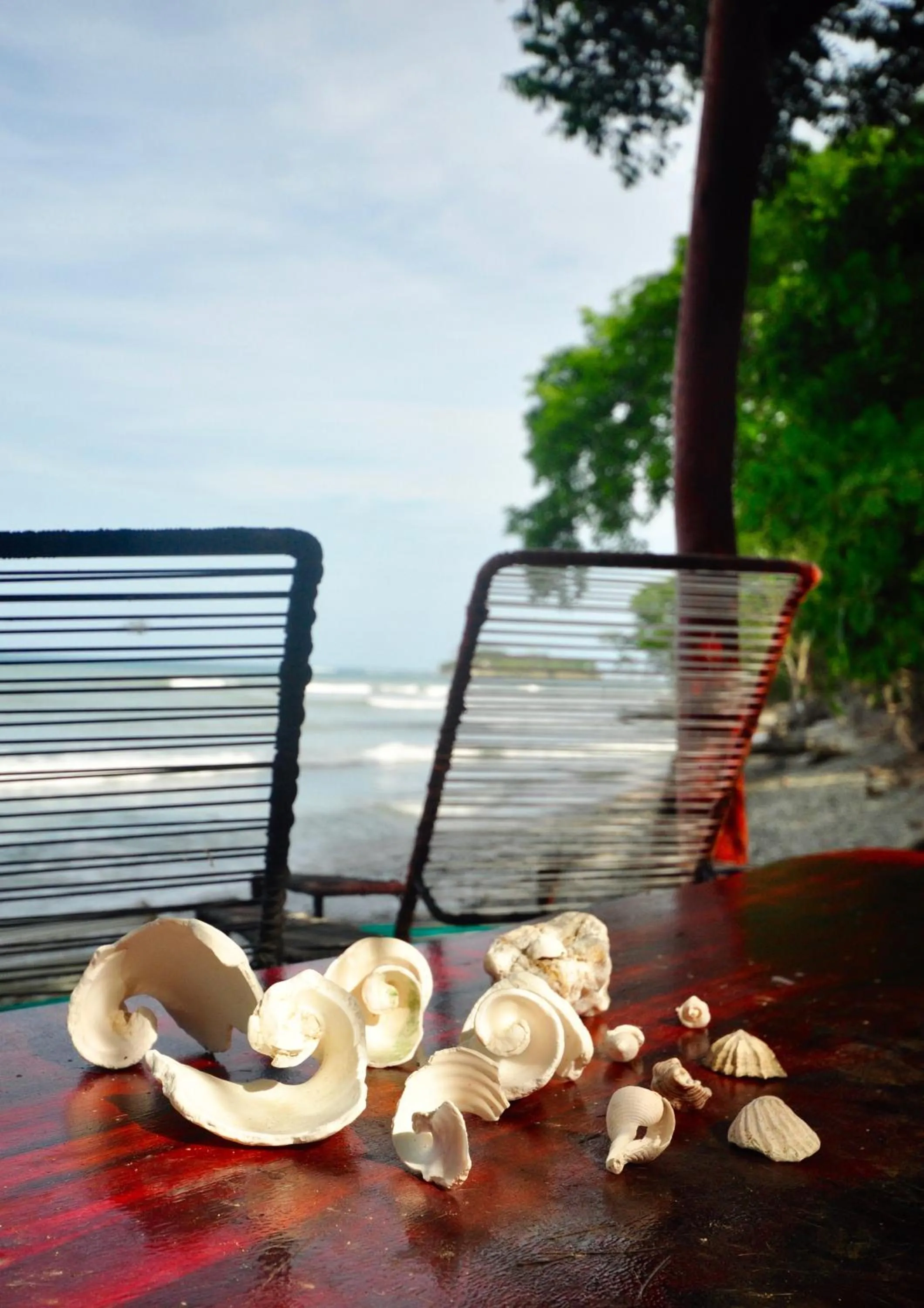 Seating area in Howler Monkey Hotel