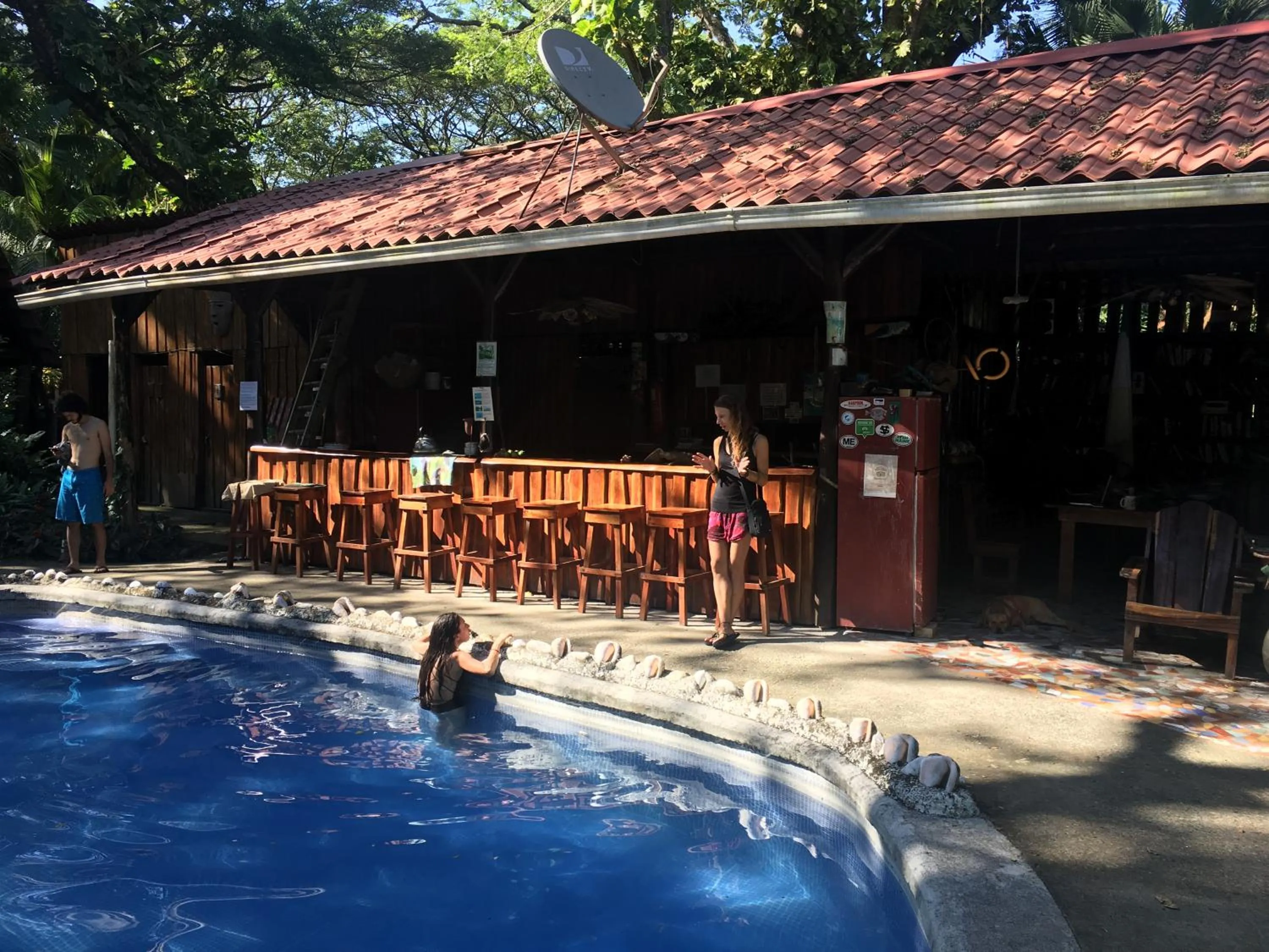 Lobby or reception in Howler Monkey Hotel