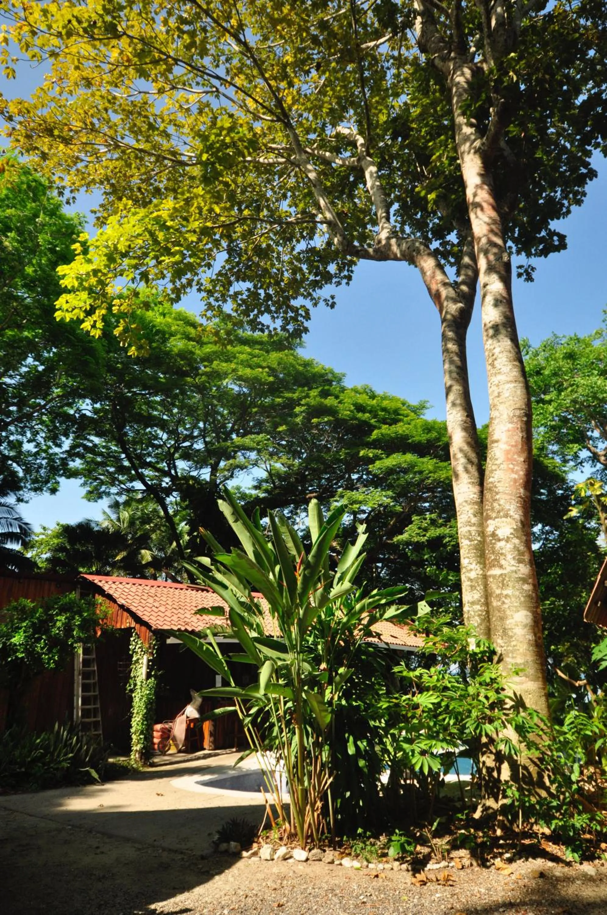 Facade/entrance in Howler Monkey Hotel