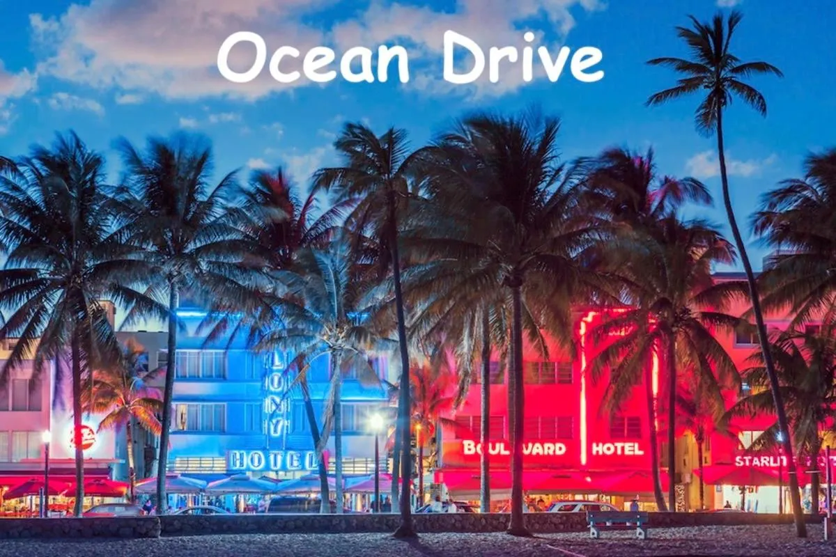 The South Beach Party House - Large Groups - Walk to Everything!