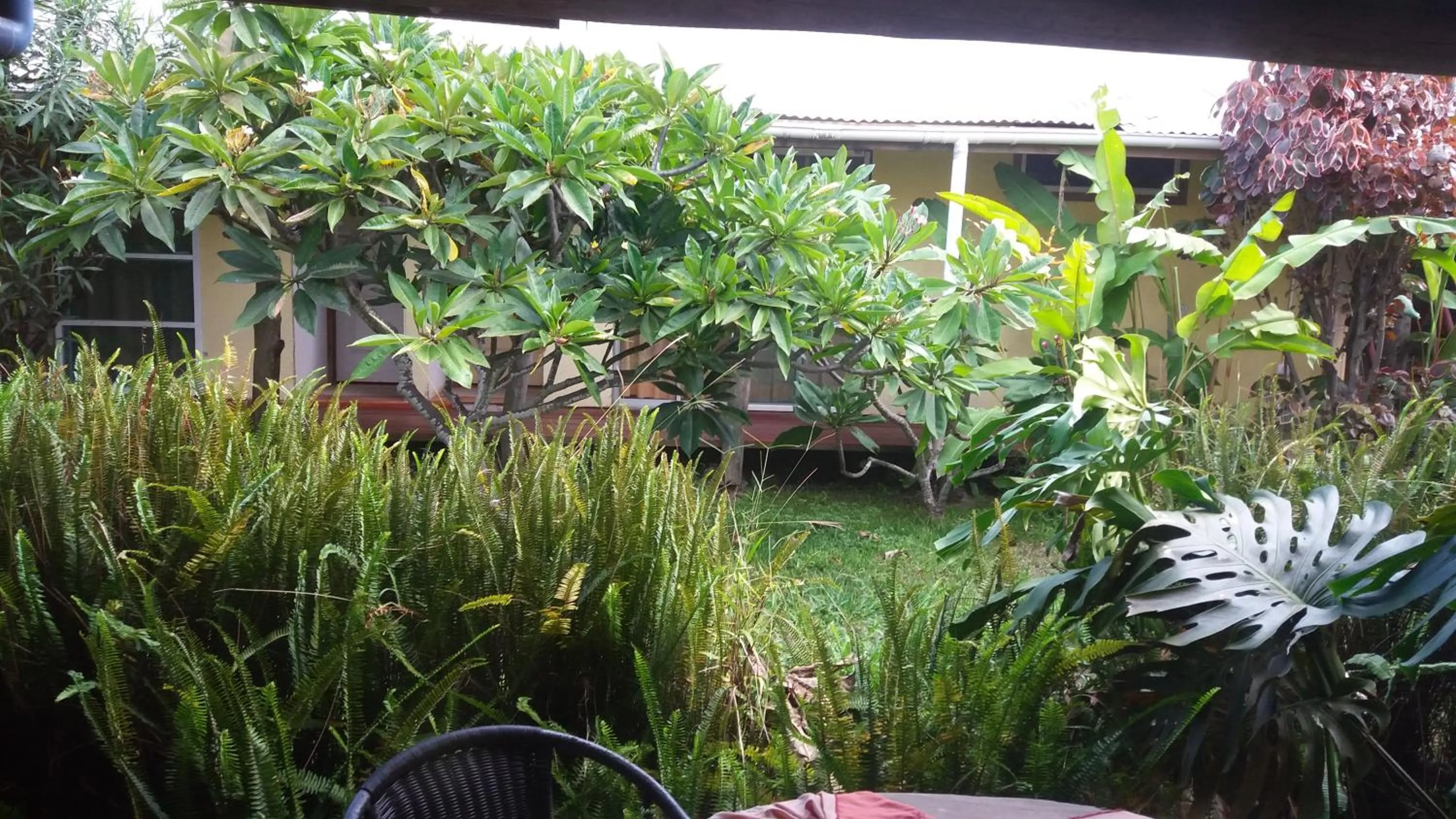 Garden in Tupa Hotel