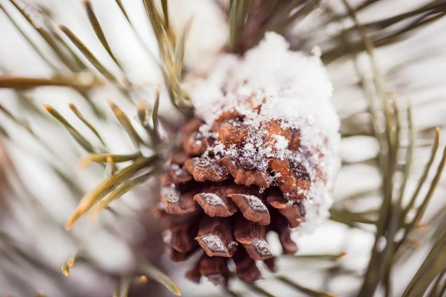 Other in Hotel Stubai