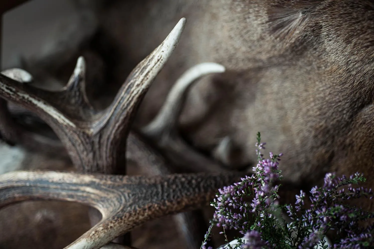 Other in Hotel Stubai