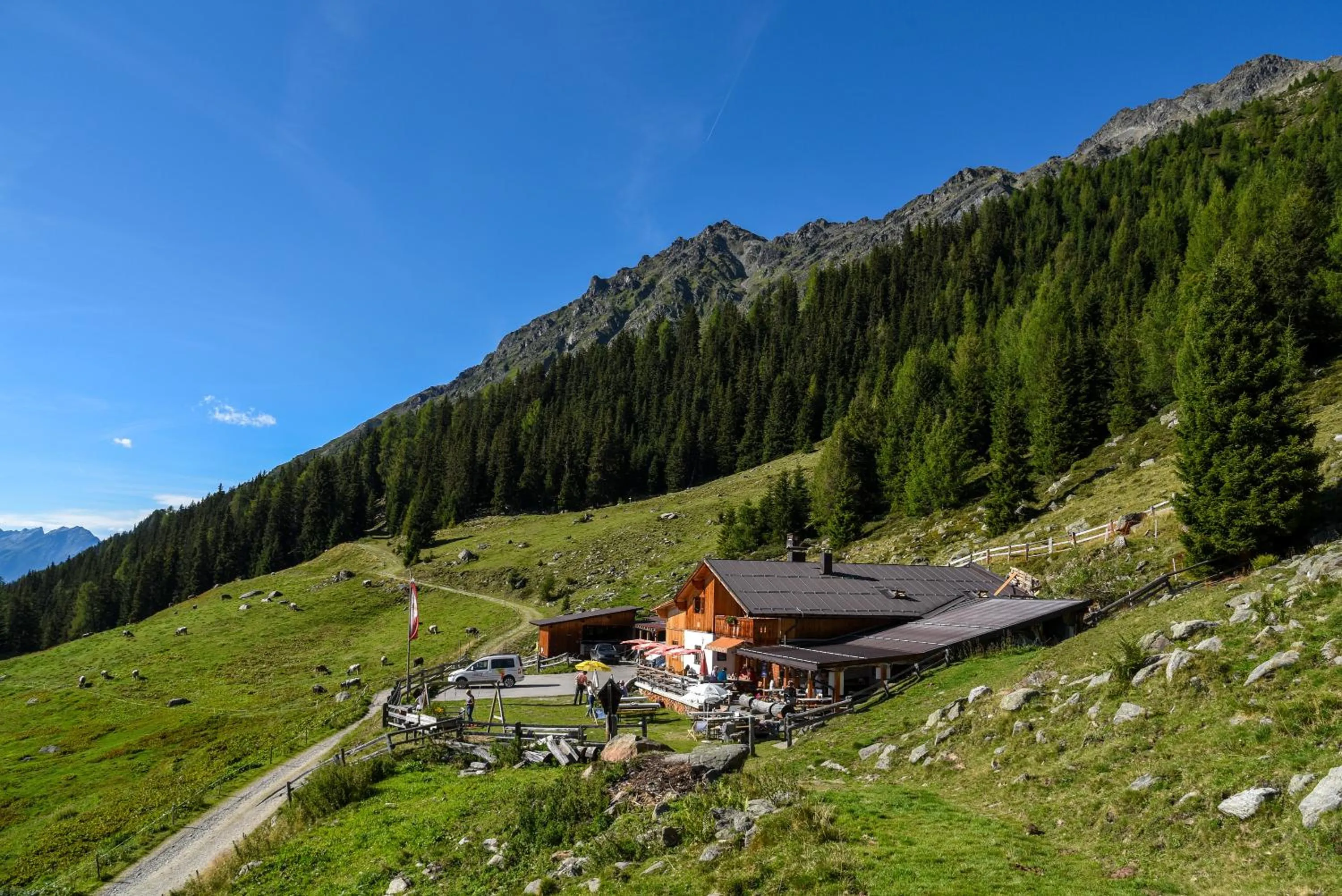 Natural landscape in Hotel Gsallbach