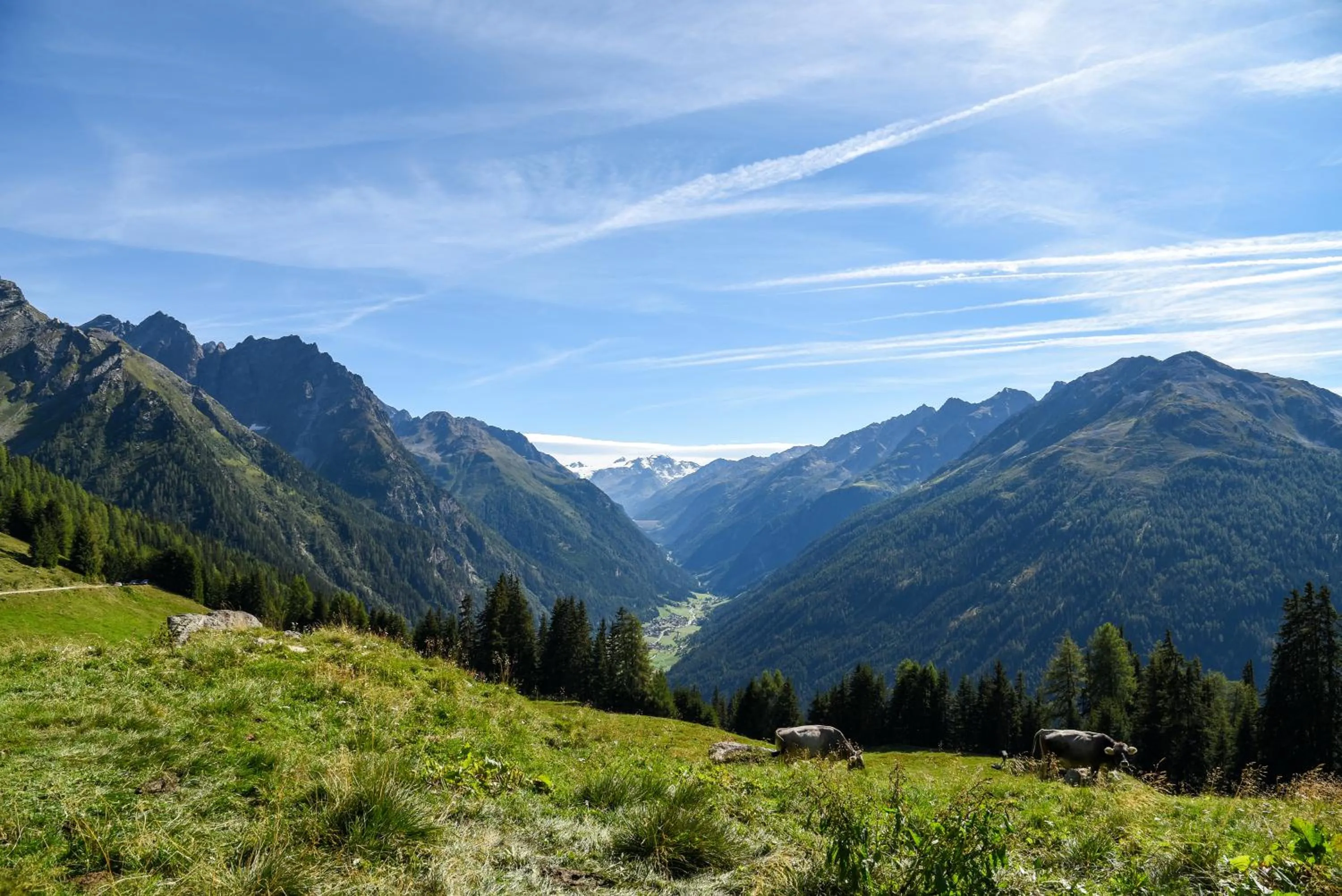 Natural landscape in Hotel Gsallbach