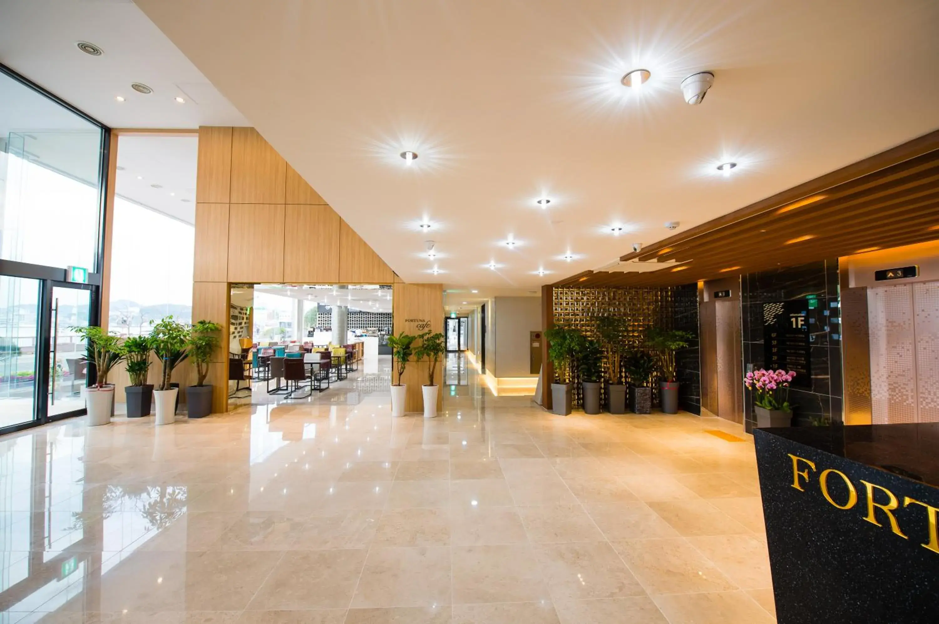 Lobby or reception in Fortuna Hotel Lobby or reception in Fortuna Hotel