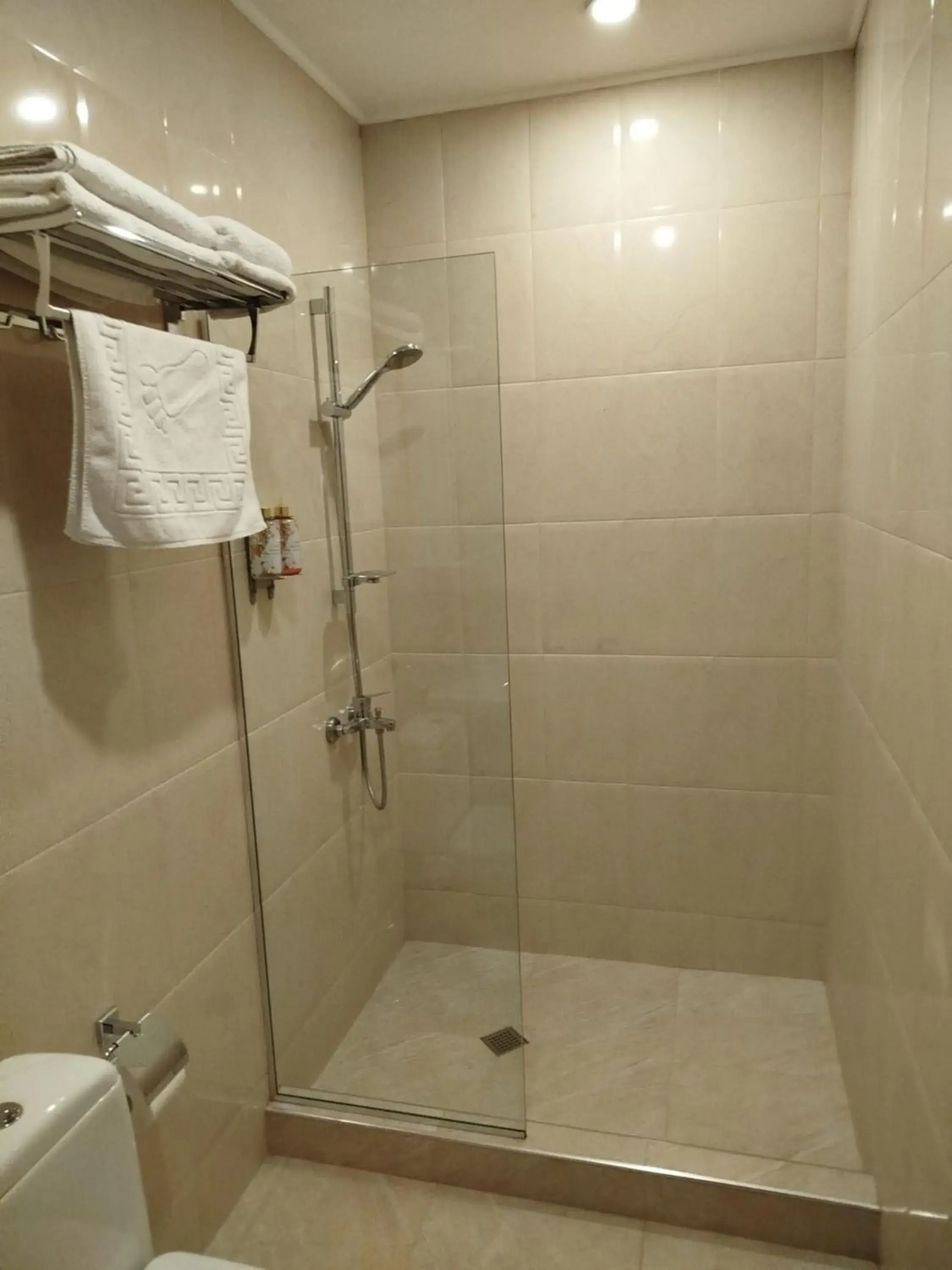 Shower in Green Tower Hotel Shower in Green Tower Hotel