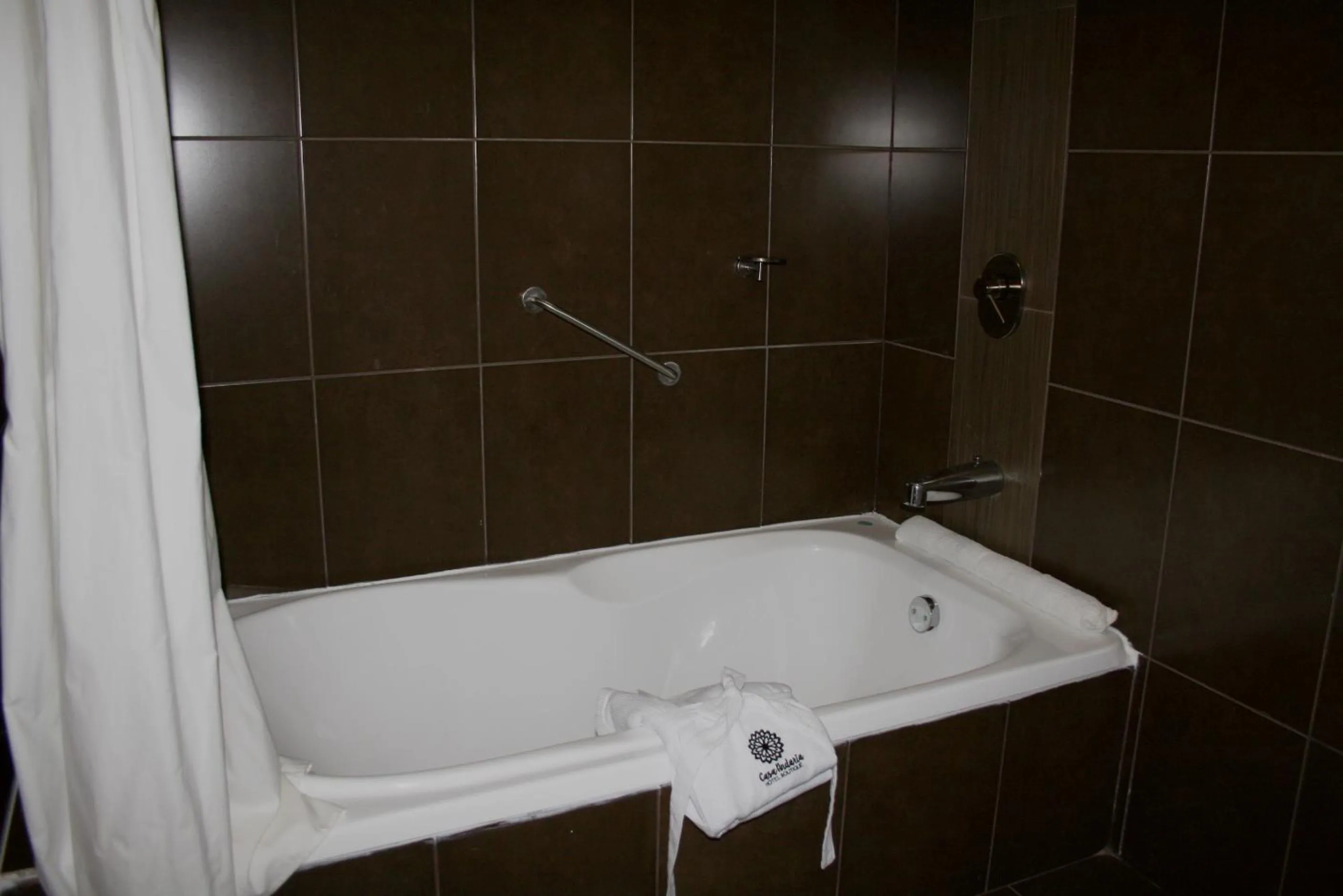 Facility for disabled guests in Hotel Casa Andaria