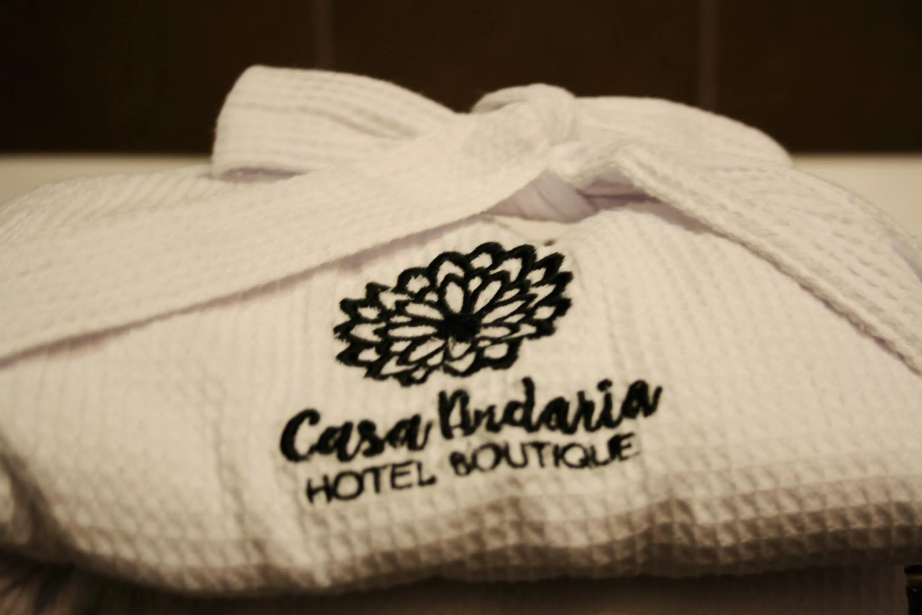 Hotel Casa Andaria