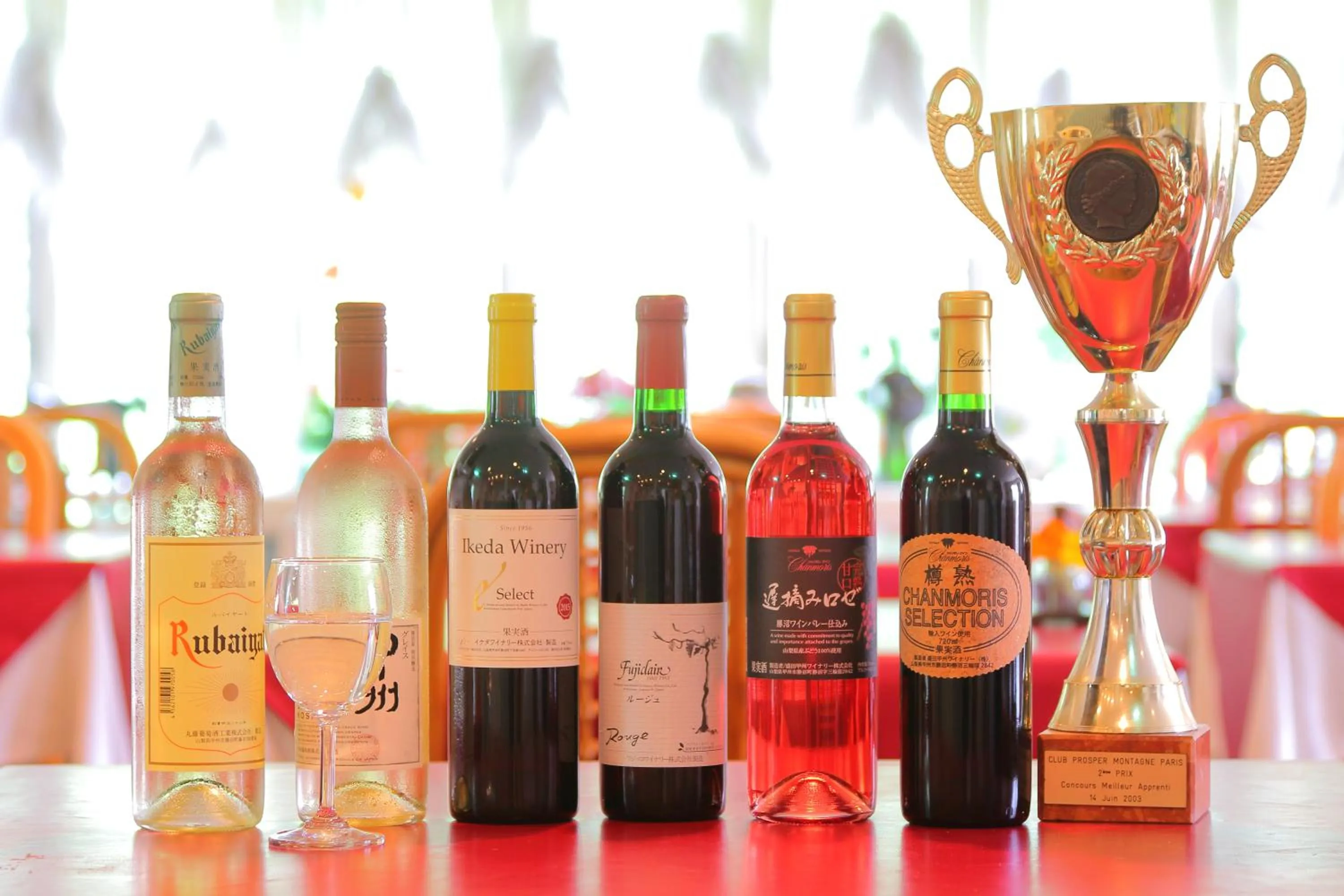 Mt Fuji B&B PENSION LE LAGON