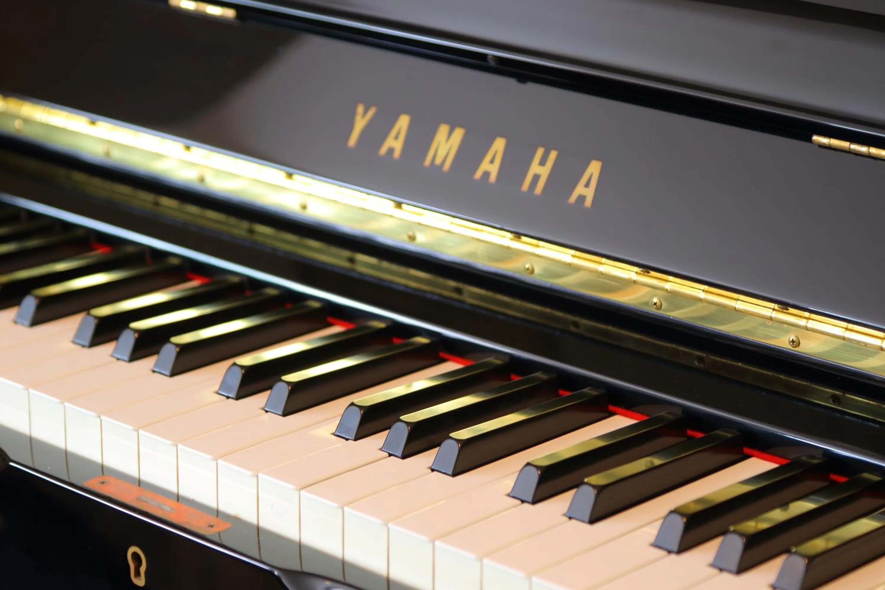 Mt Fuji B&B PENSION LE LAGON