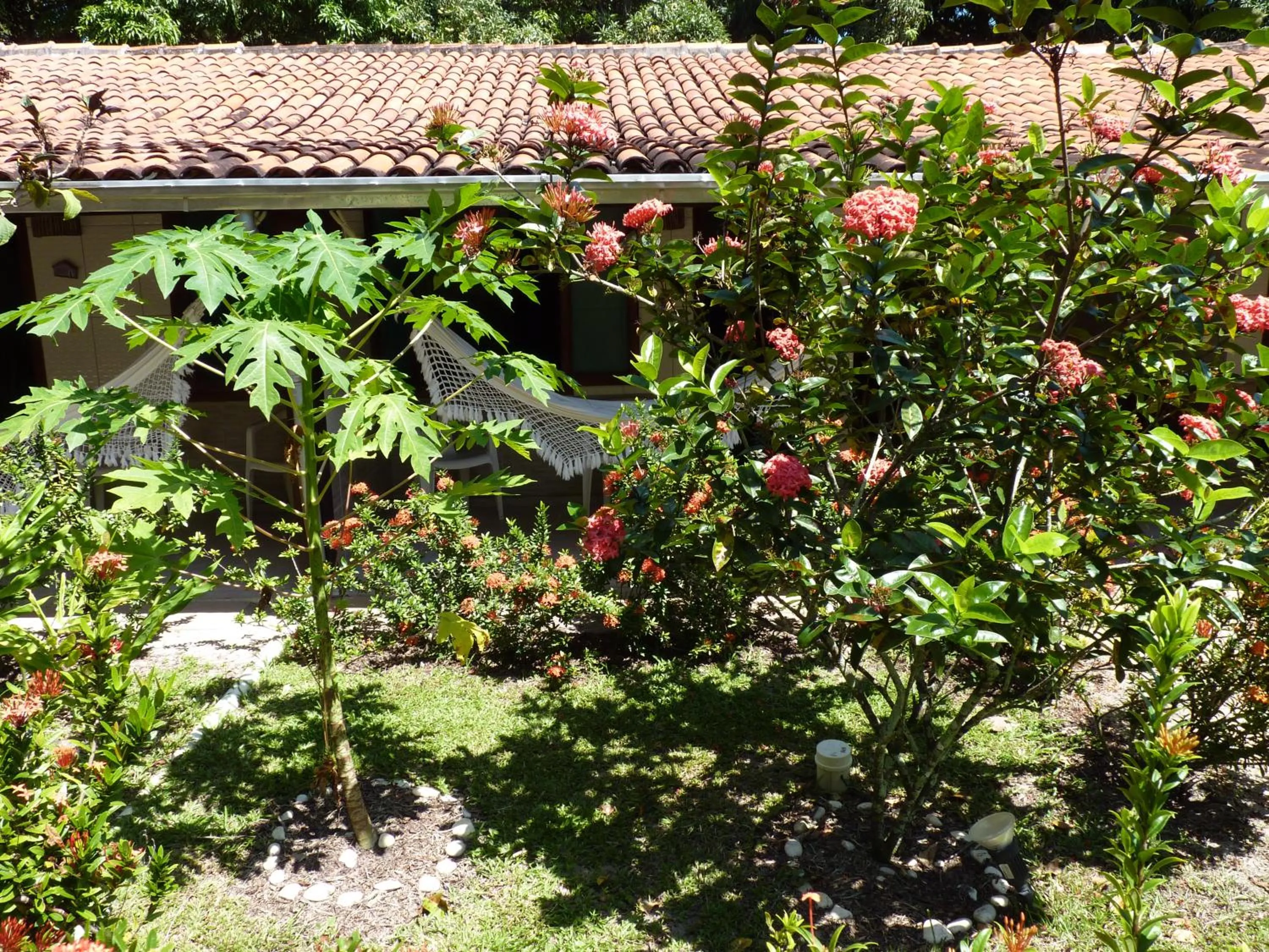 Garden in Pousada Meu Sossego