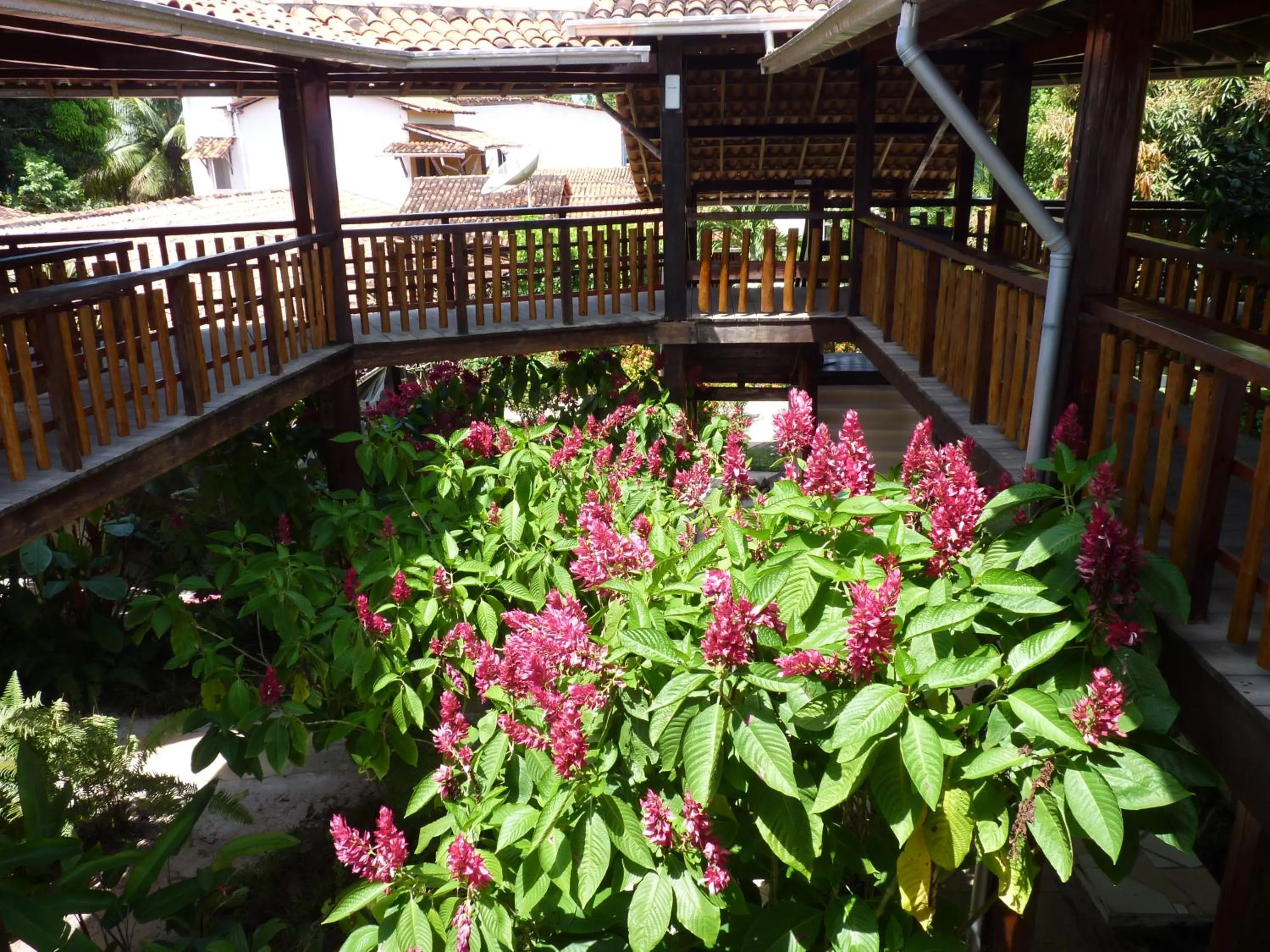 Garden in Pousada Meu Sossego