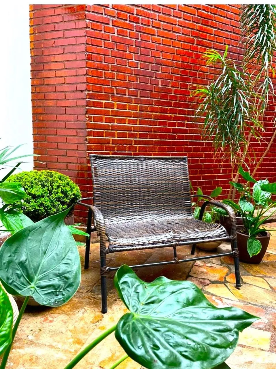 Garden in Hotel Verdes Mares