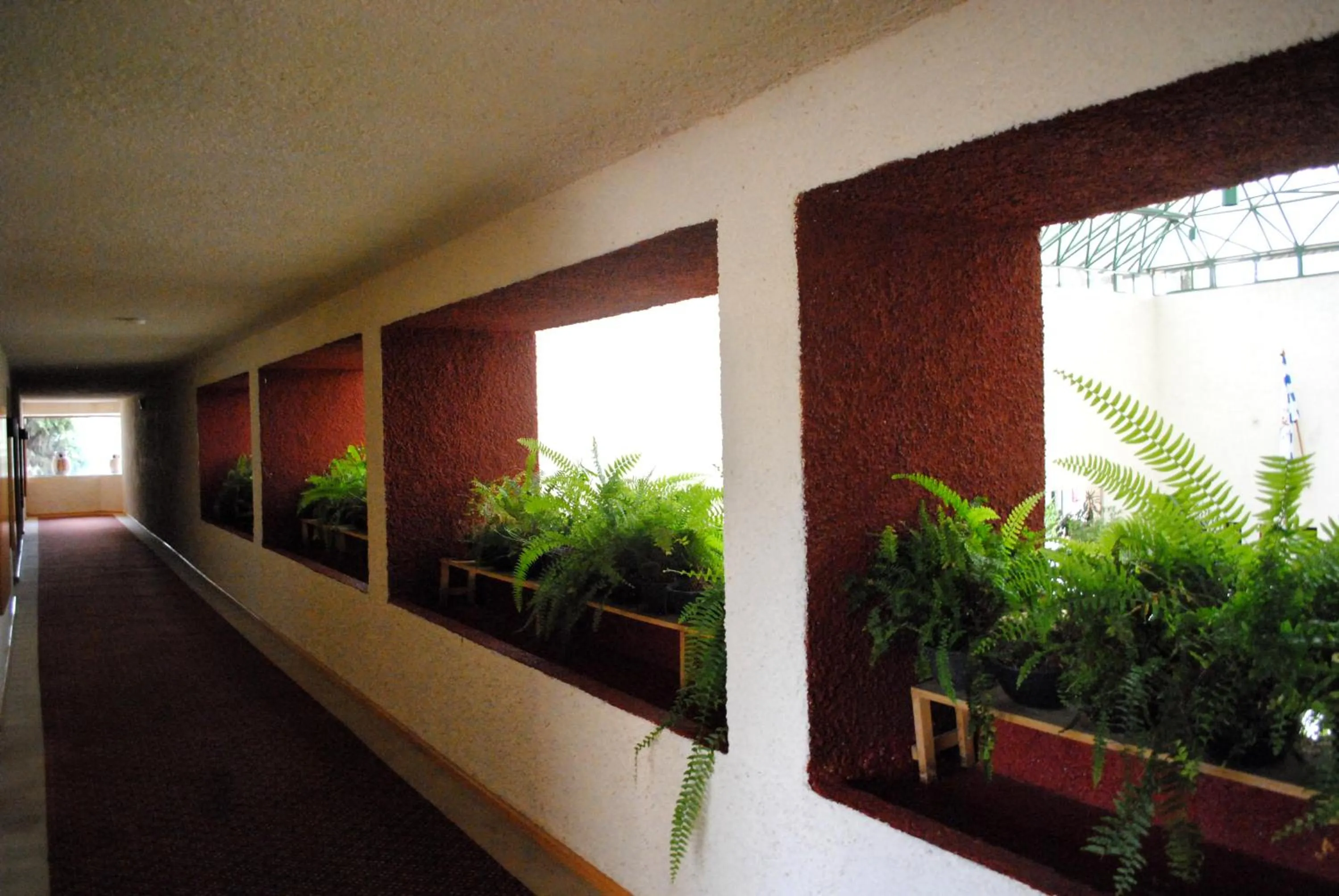 Garden in Cantalagua Inn